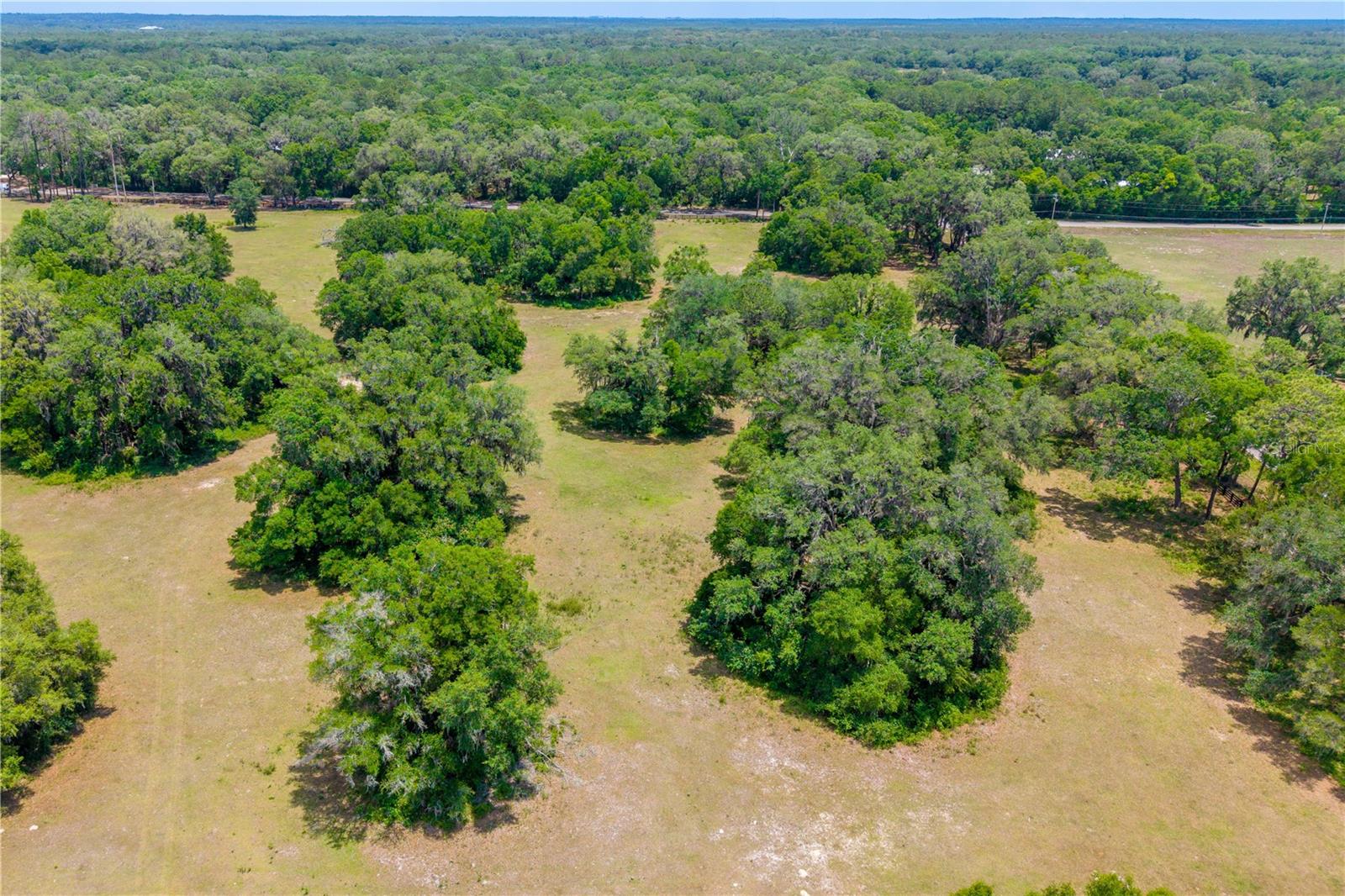 TBD SW 170TH ST, NEWBERRY, FL, 32669
