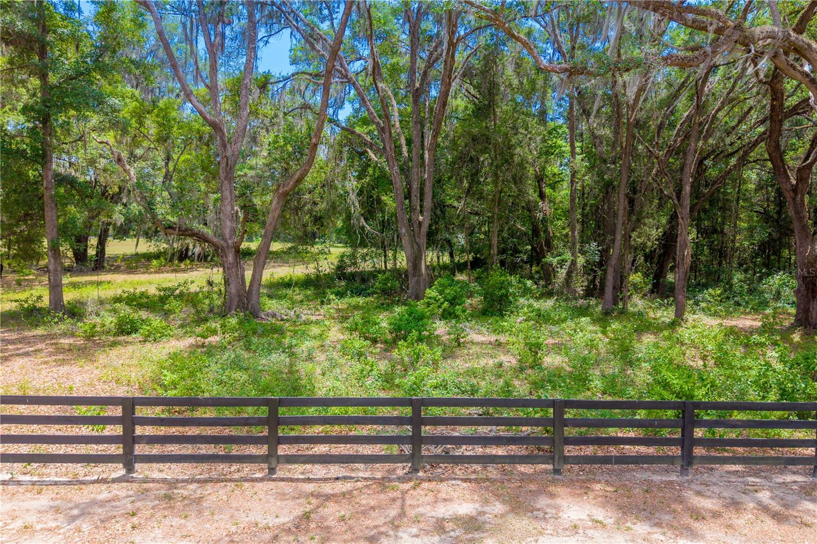 TBD SW 170TH ST, NEWBERRY, FL, 32669