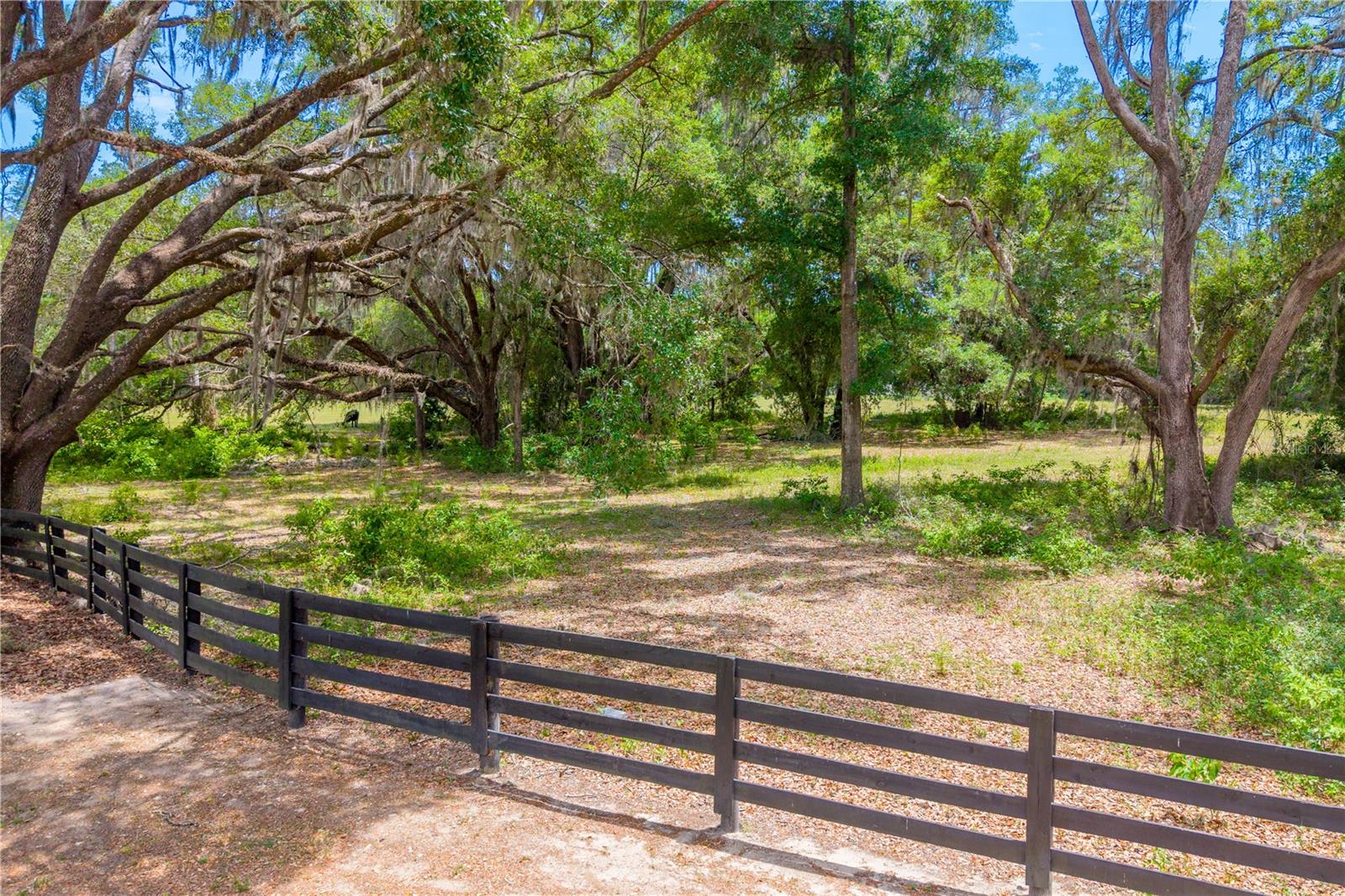 TBD SW 170TH ST, NEWBERRY, FL, 32669