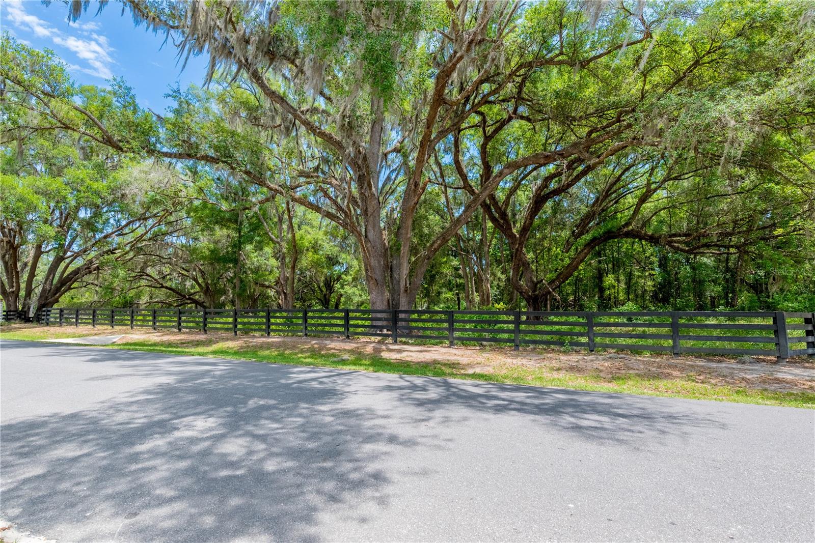 TBD SW 170TH ST, NEWBERRY, FL, 32669