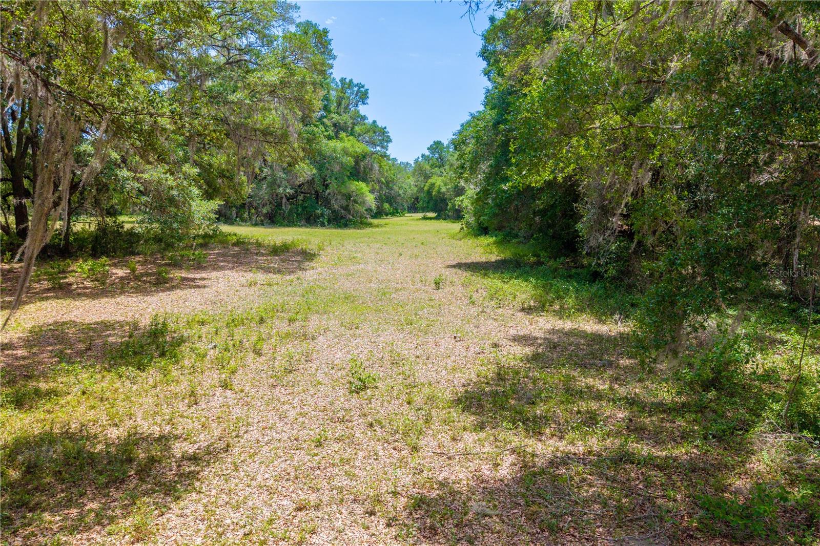 TBD SW 170TH ST, NEWBERRY, FL, 32669