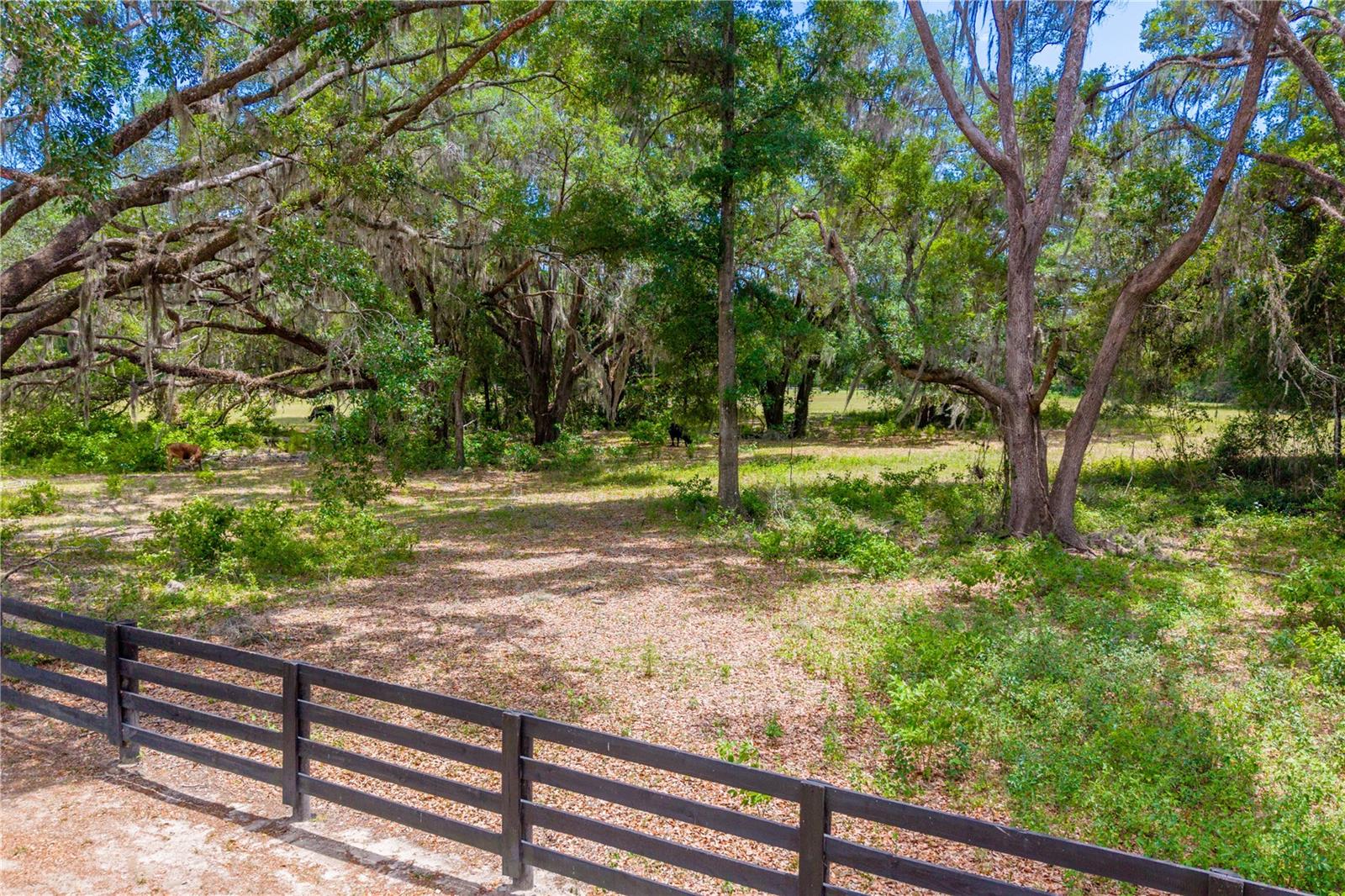 TBD SW 170TH ST, NEWBERRY, FL, 32669