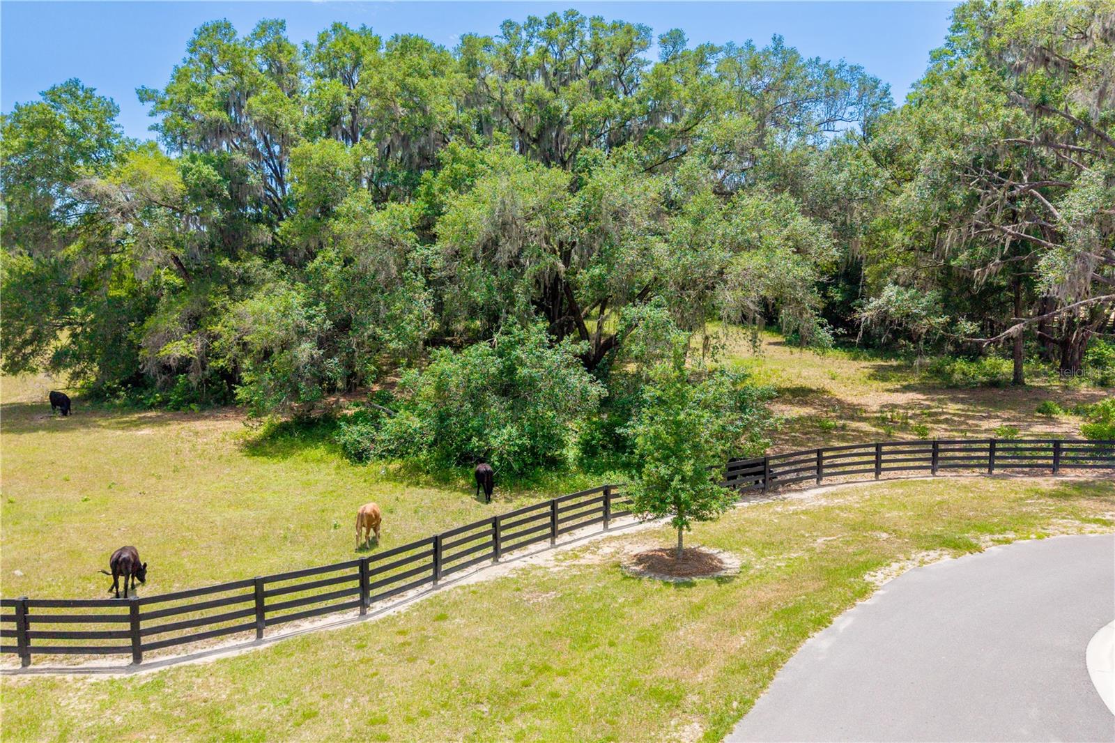 TBD SW 170TH ST, NEWBERRY, FL, 32669
