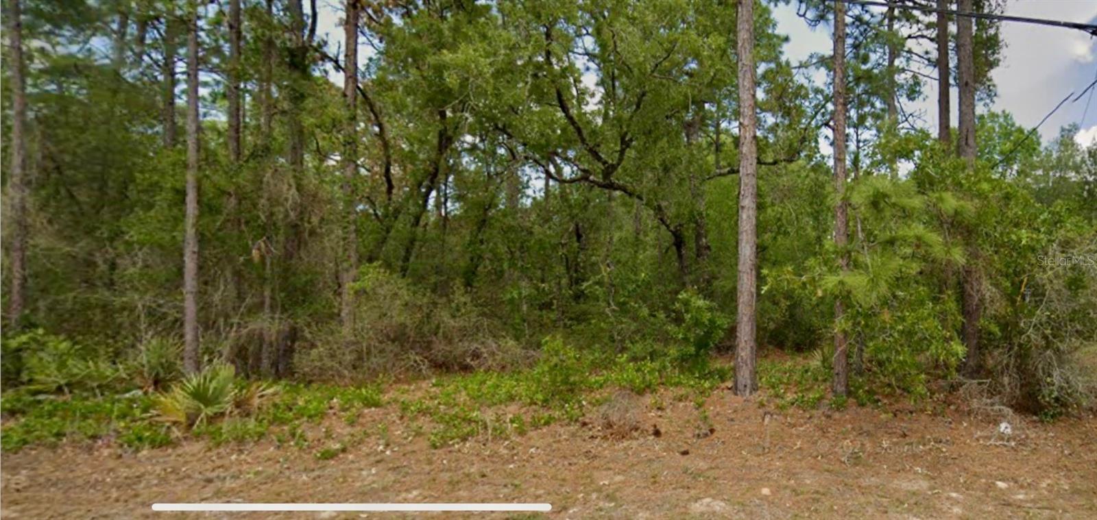 8550 N CITRUS SPRINGS BLVD, CITRUS SPRINGS, FL, 34433