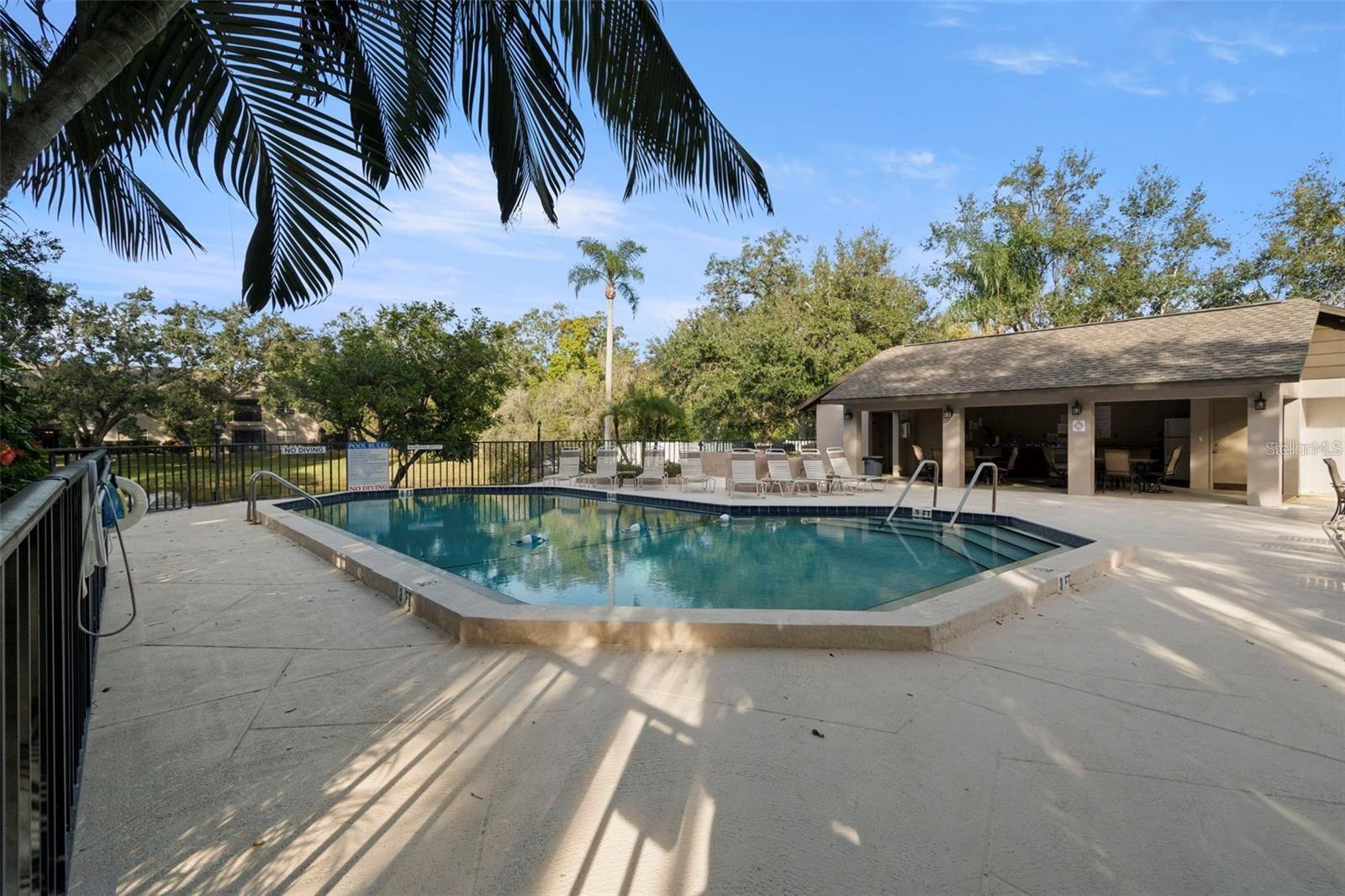 5265 E BAY DR #1013, CLEARWATER, FL, 33764