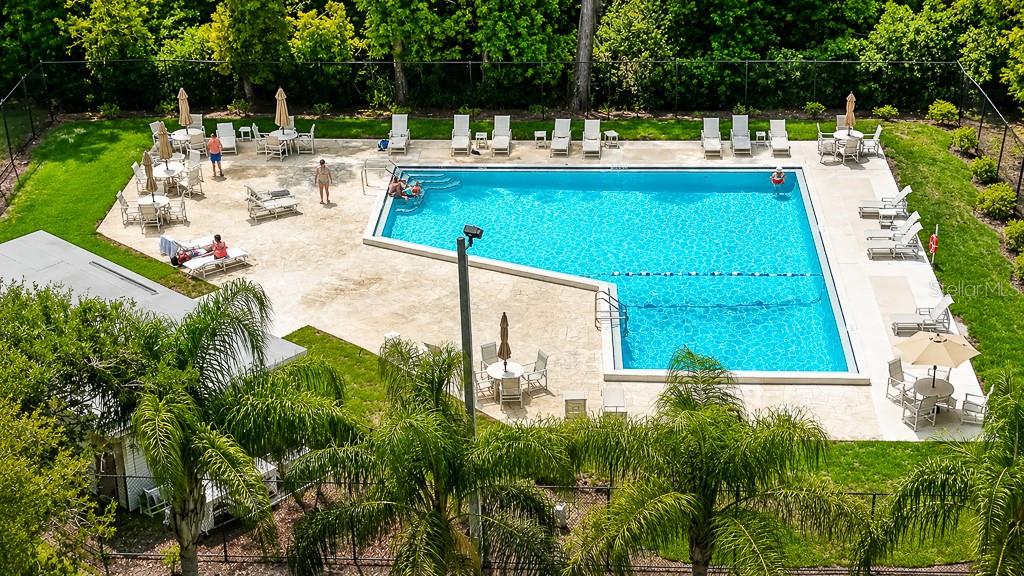2588 FOREST RUN CT #106A, CLEARWATER, FL, 33761