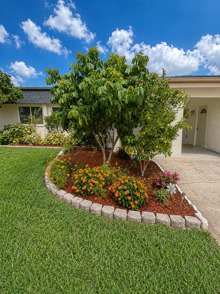 2588 FOREST RUN CT #106A, CLEARWATER, FL, 33761