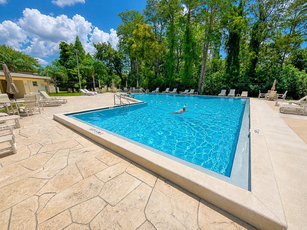 2588 FOREST RUN CT #106A, CLEARWATER, FL, 33761