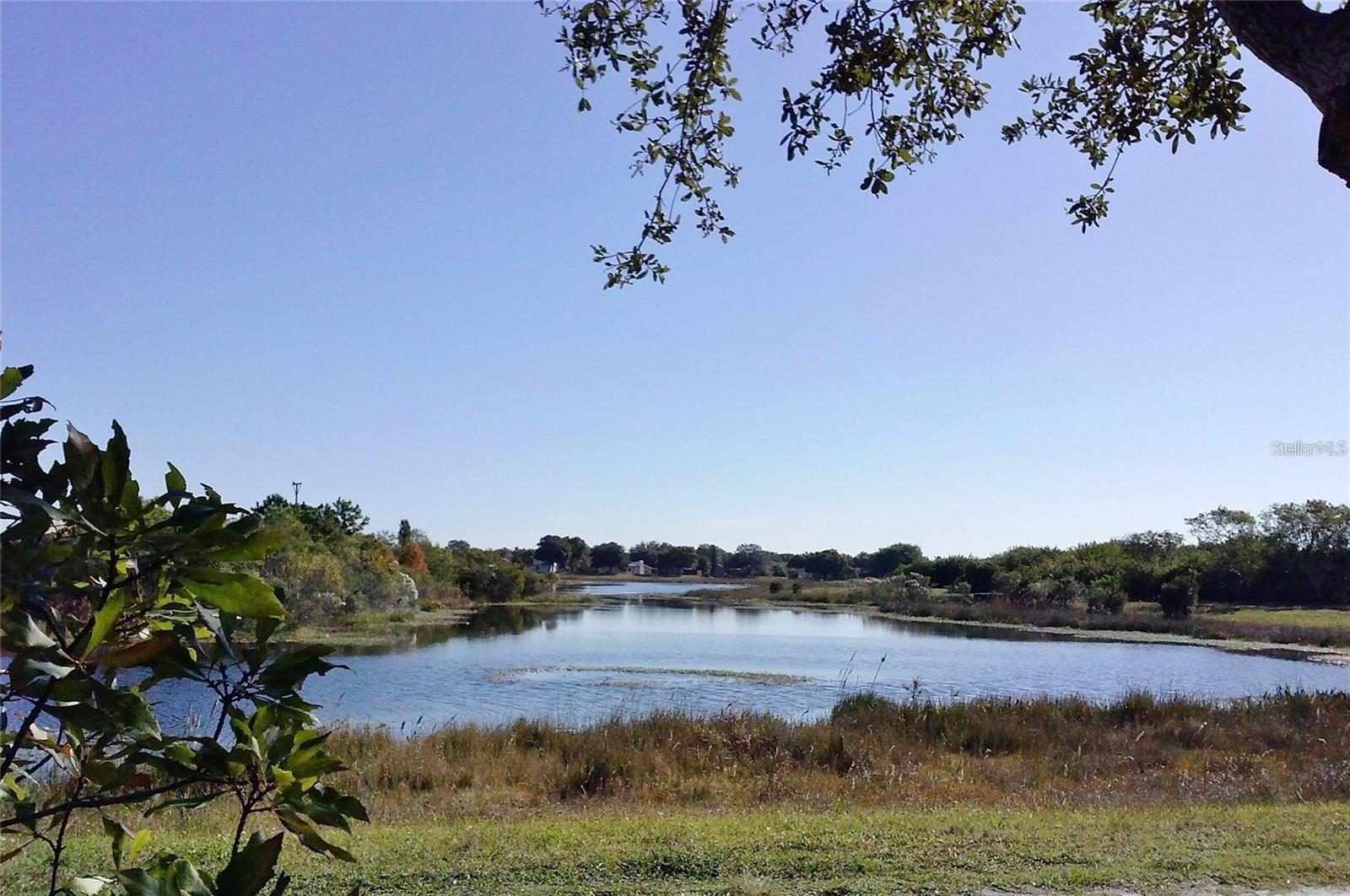 10730 43RD ST N #504, CLEARWATER, FL, 33762