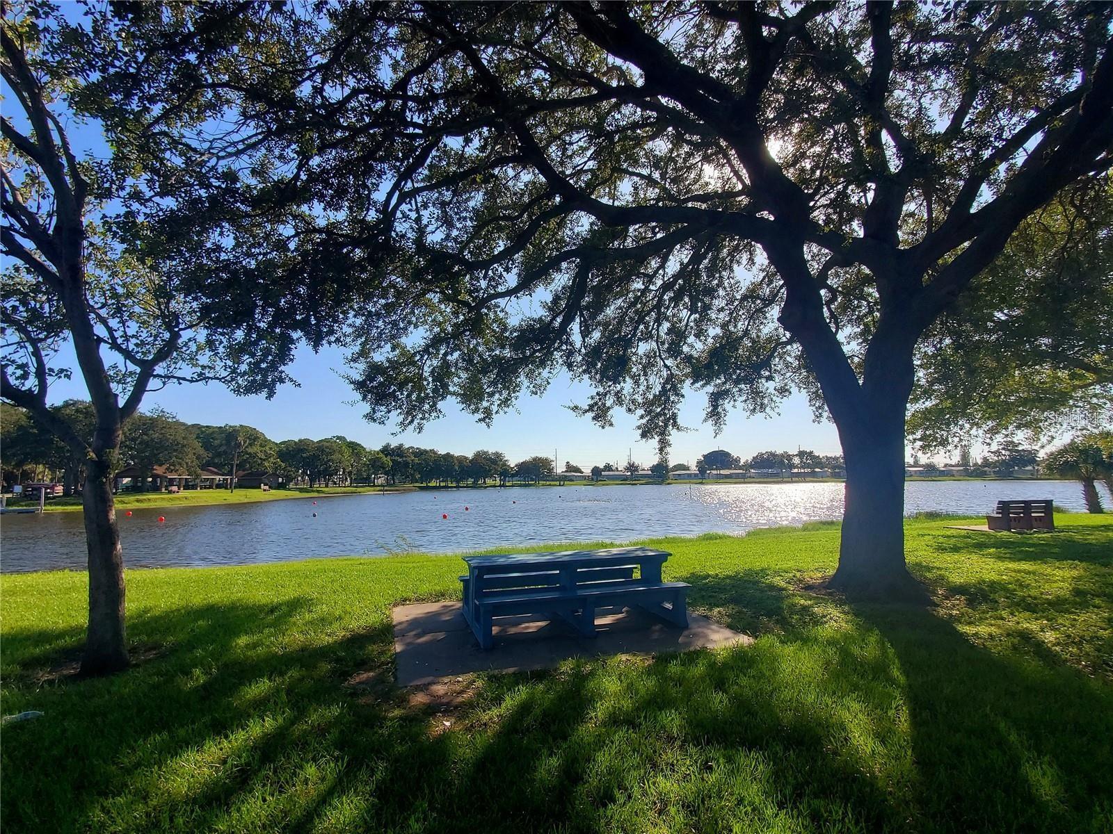 10730 43RD ST N #504, CLEARWATER, FL, 33762