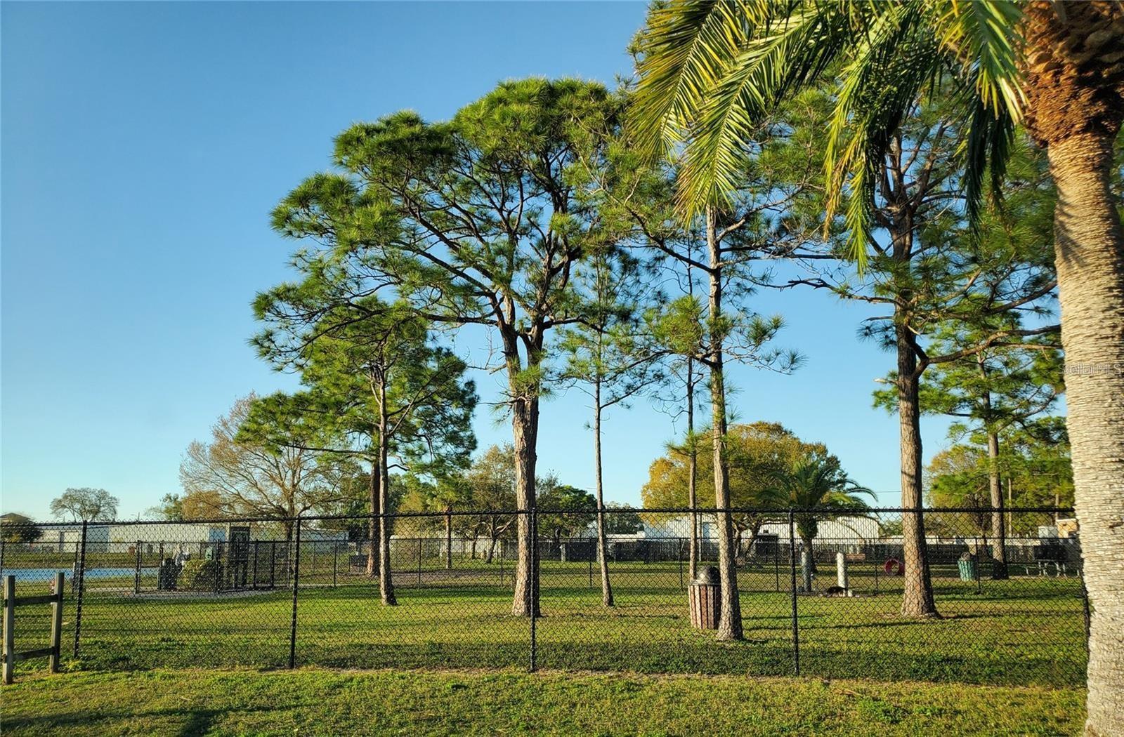 10730 43RD ST N #504, CLEARWATER, FL, 33762