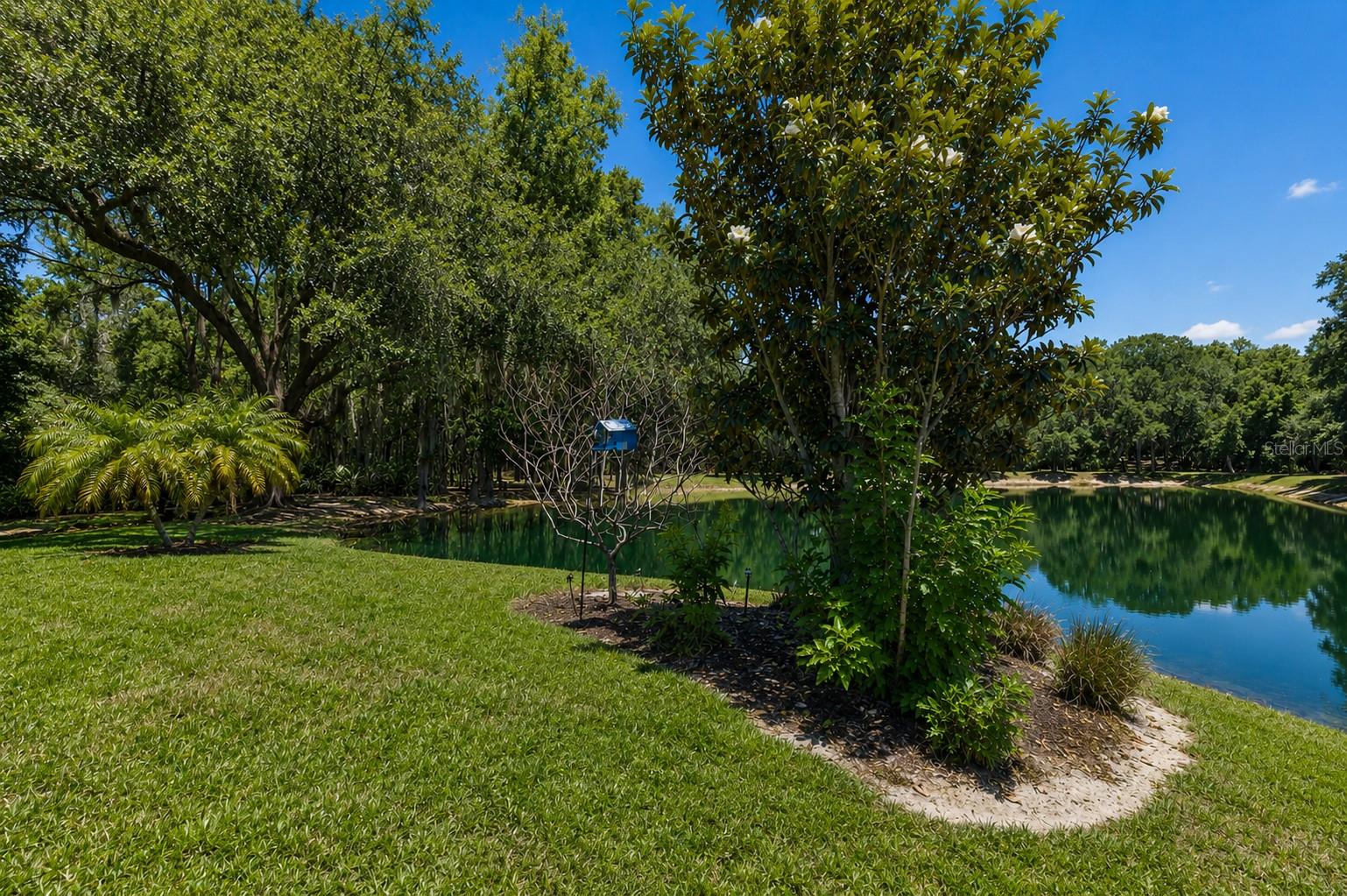 8447 ALBERATA VISTA DR, TAMPA, FL, 33647