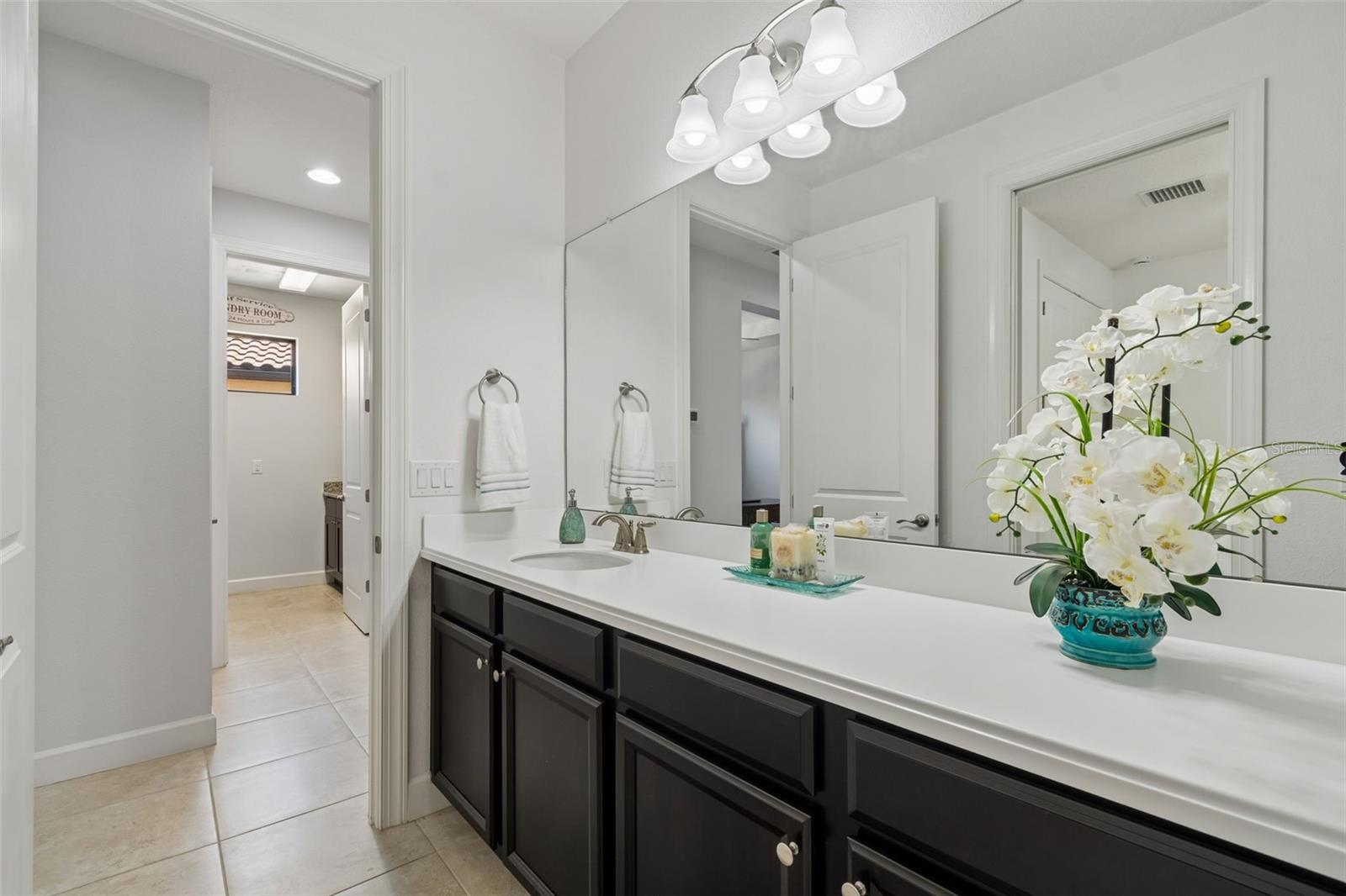 8447 ALBERATA VISTA DR, TAMPA, FL, 33647
