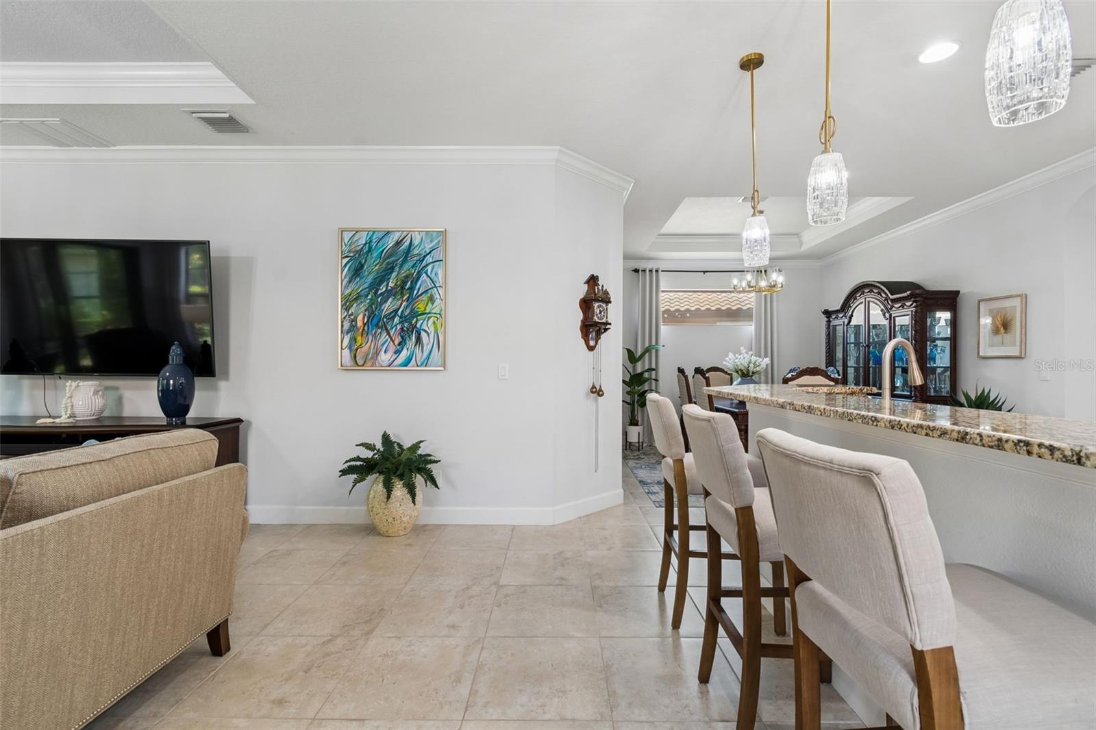 8447 ALBERATA VISTA DR, TAMPA, FL, 33647