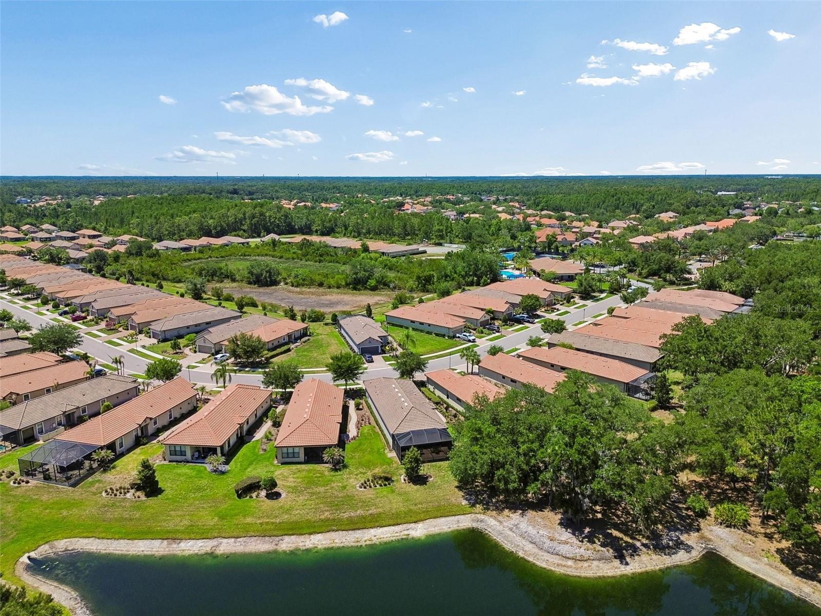 8447 ALBERATA VISTA DR, TAMPA, FL, 33647