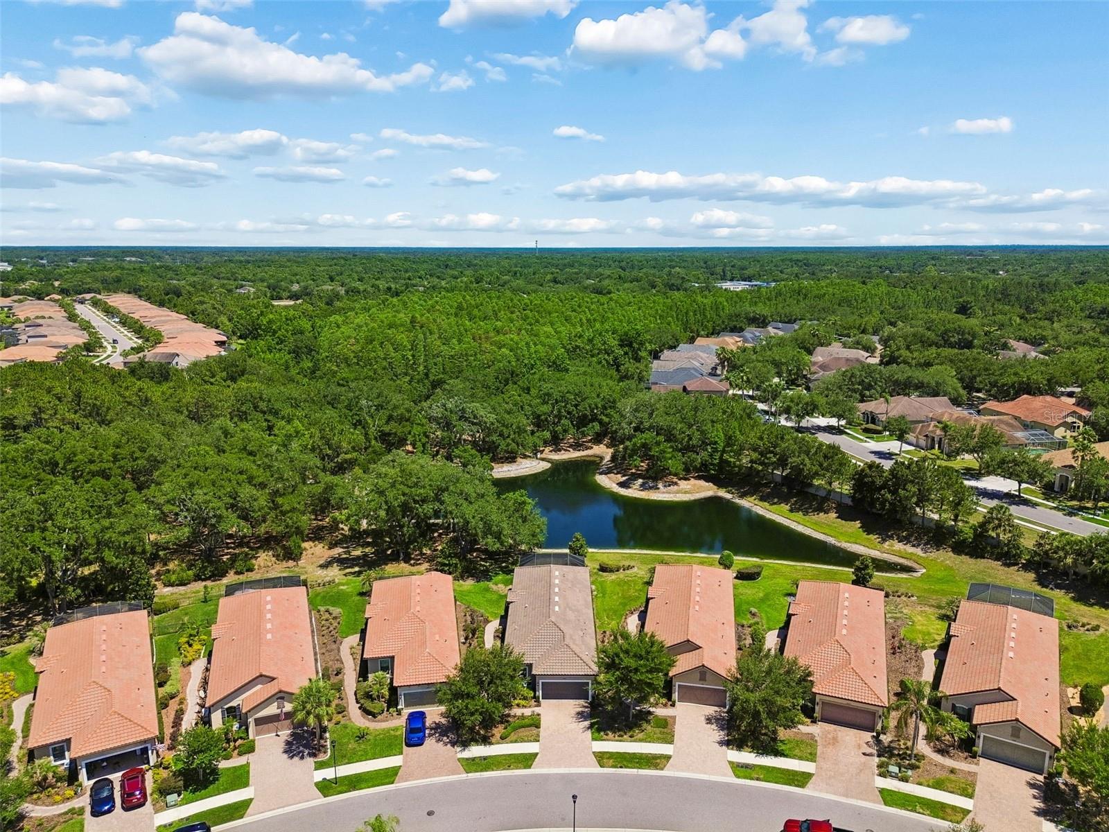 8447 ALBERATA VISTA DR, TAMPA, FL, 33647