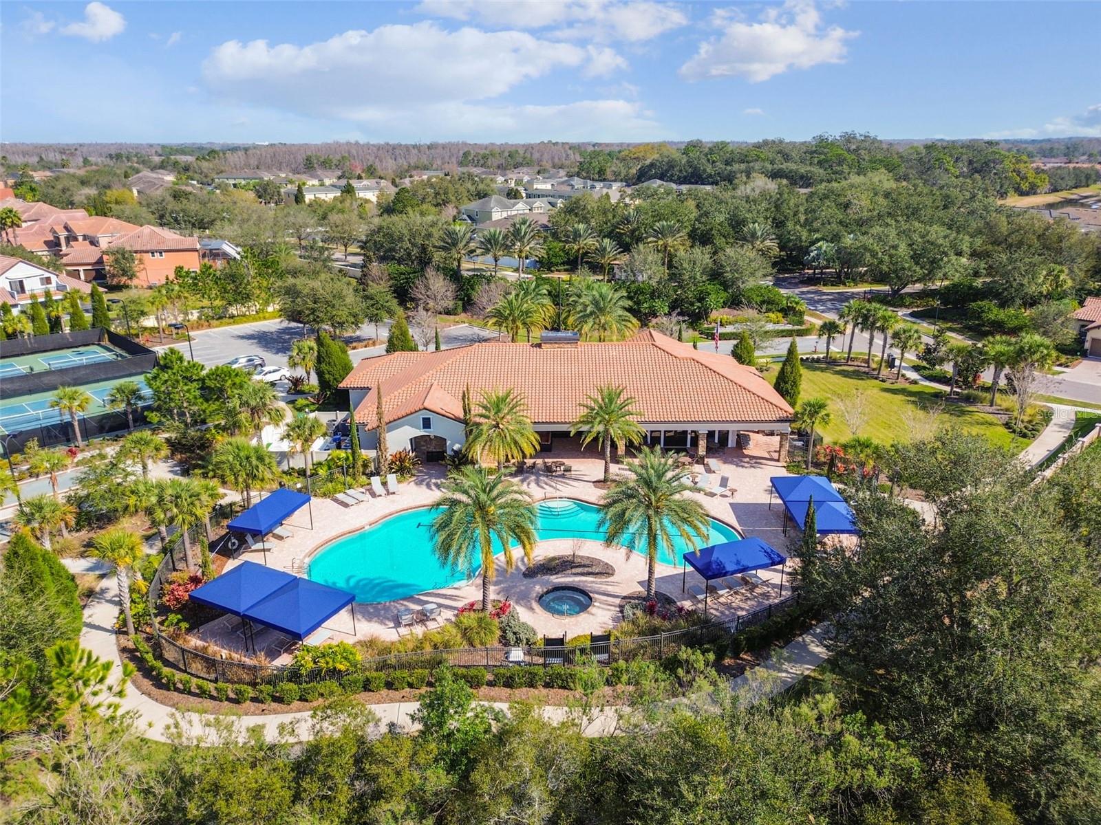 8447 ALBERATA VISTA DR, TAMPA, FL, 33647