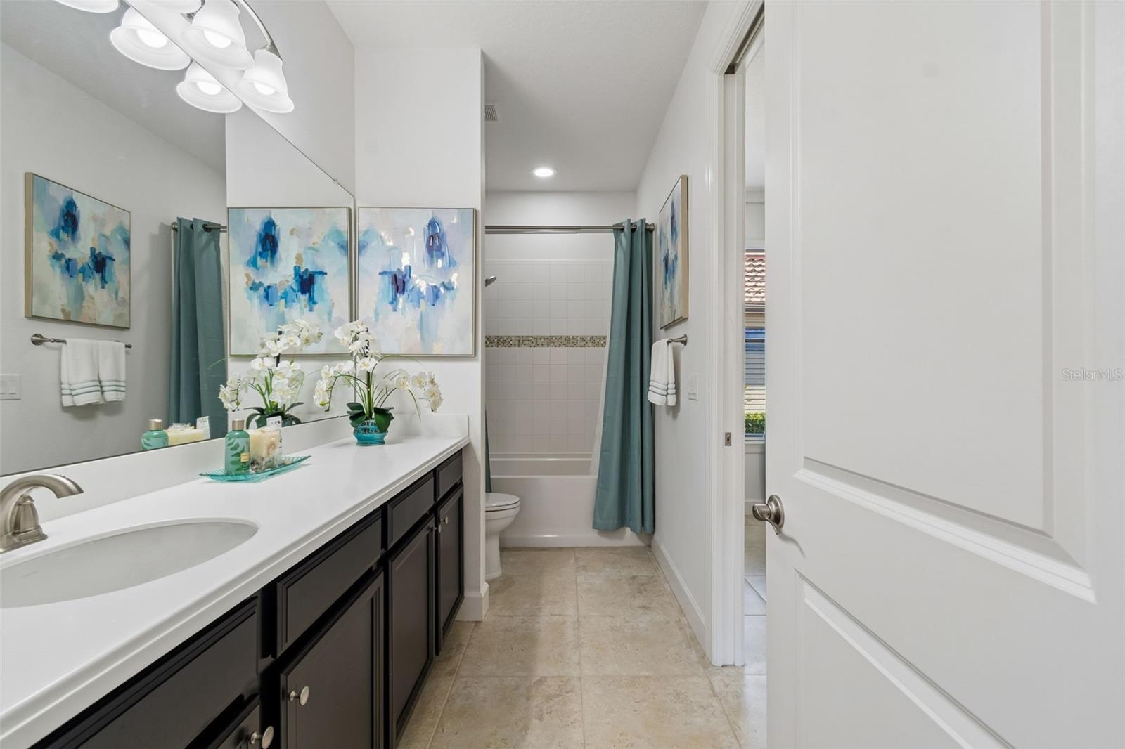 8447 ALBERATA VISTA DR, TAMPA, FL, 33647