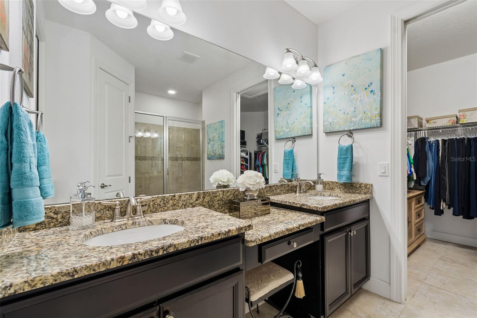 8447 ALBERATA VISTA DR, TAMPA, FL, 33647