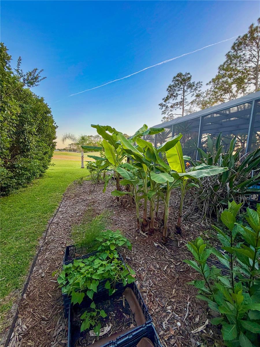 342 WELLINGTON DR, PALM COAST, FL, 32164