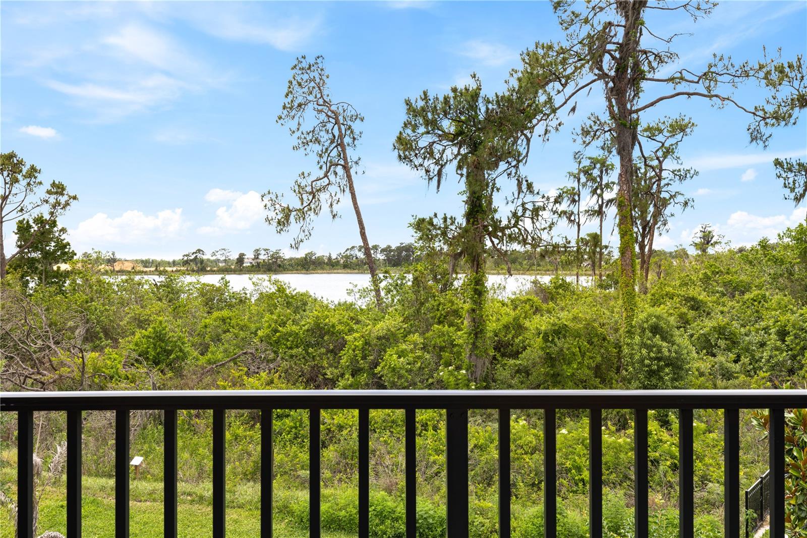 17372 GLOSSY POMELO WAY, WINTER GARDEN, FL, 34787