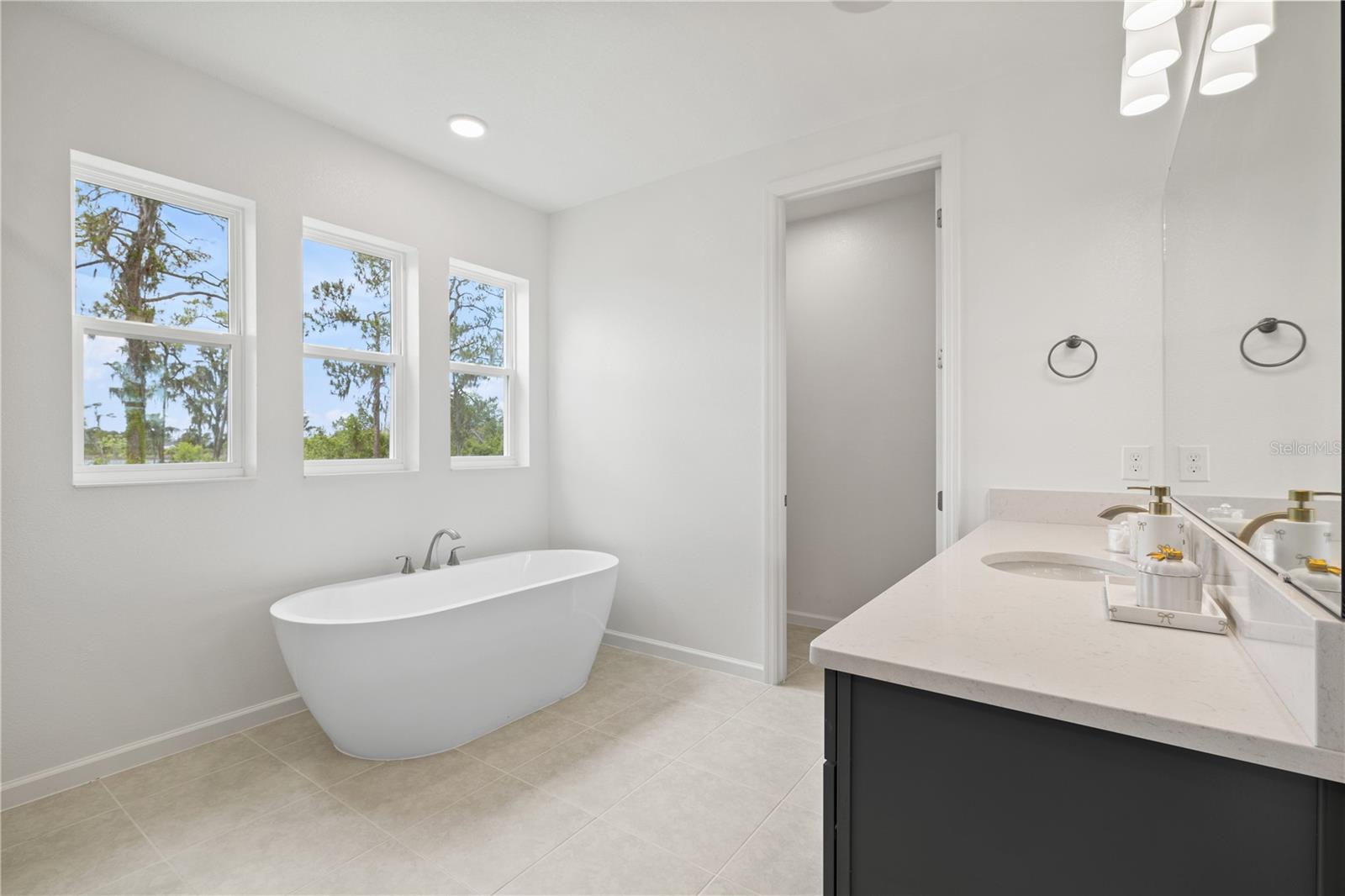 17372 GLOSSY POMELO WAY, WINTER GARDEN, FL, 34787