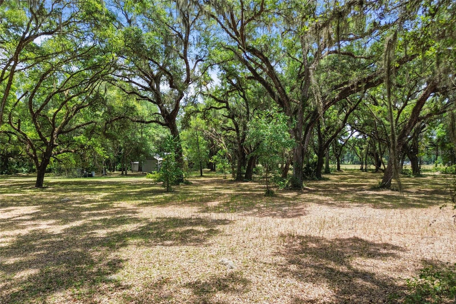 1153 CR 722, WEBSTER, FL, 33597