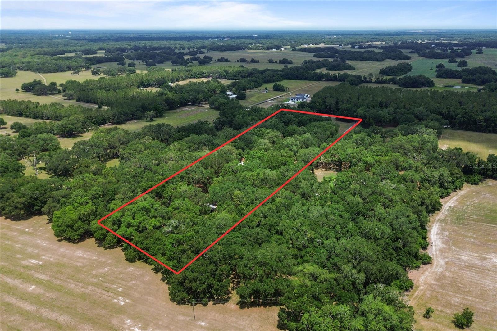 1153 CR 722, WEBSTER, FL, 33597