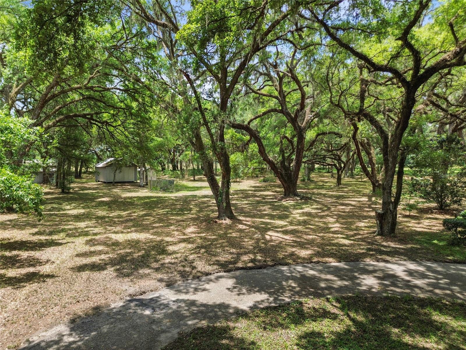 1153 CR 722, WEBSTER, FL, 33597
