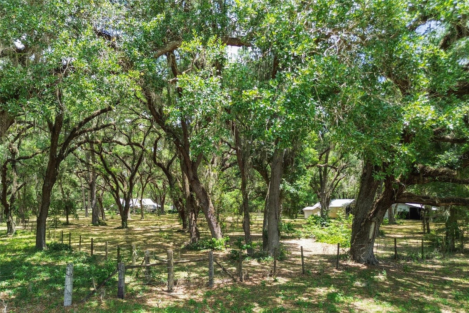 1153 CR 722, WEBSTER, FL, 33597