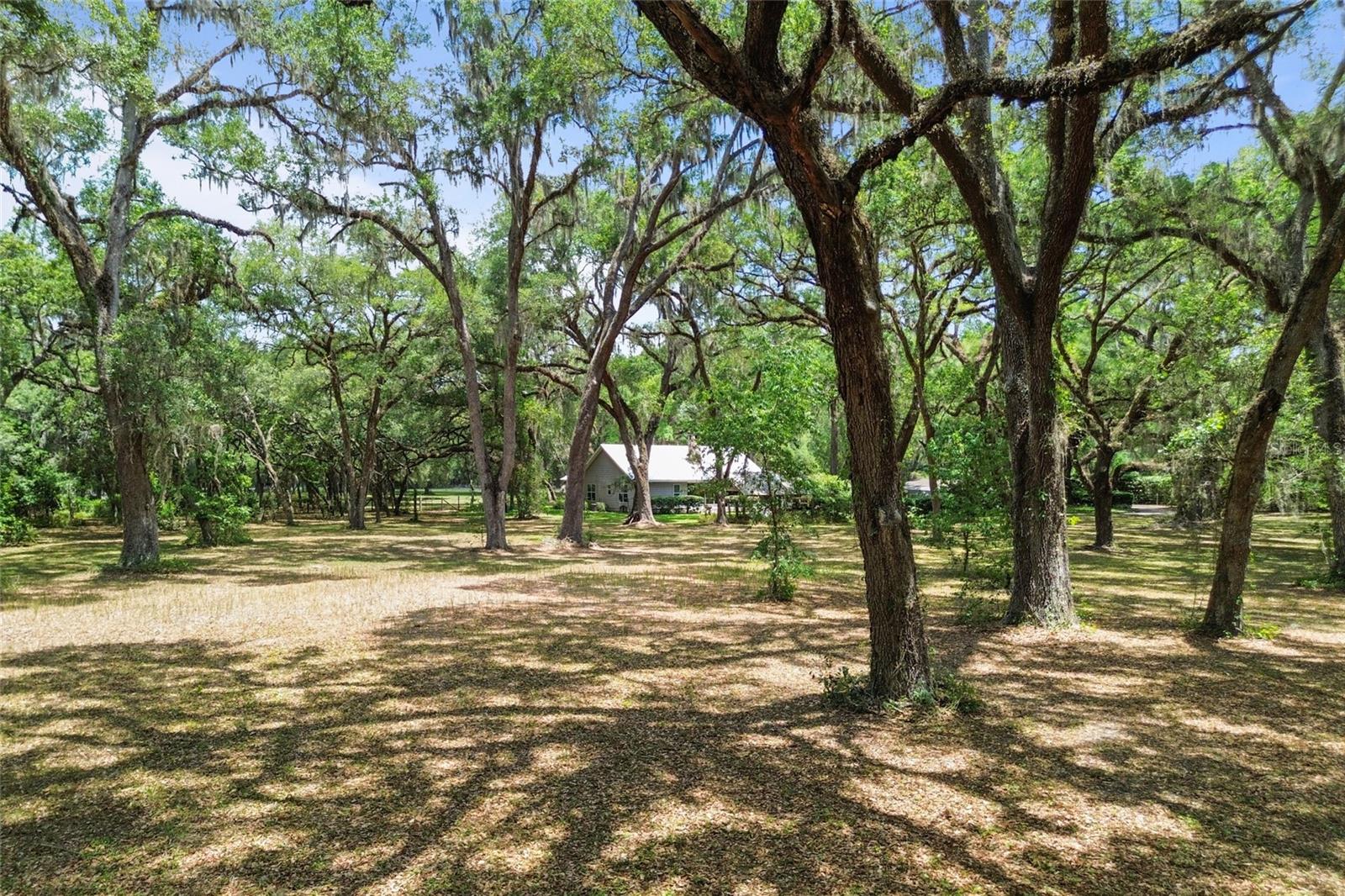 1153 CR 722, WEBSTER, FL, 33597