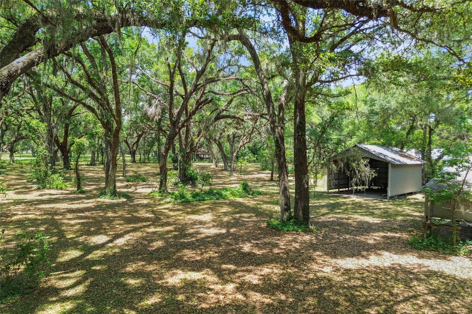 1153 CR 722, WEBSTER, FL, 33597