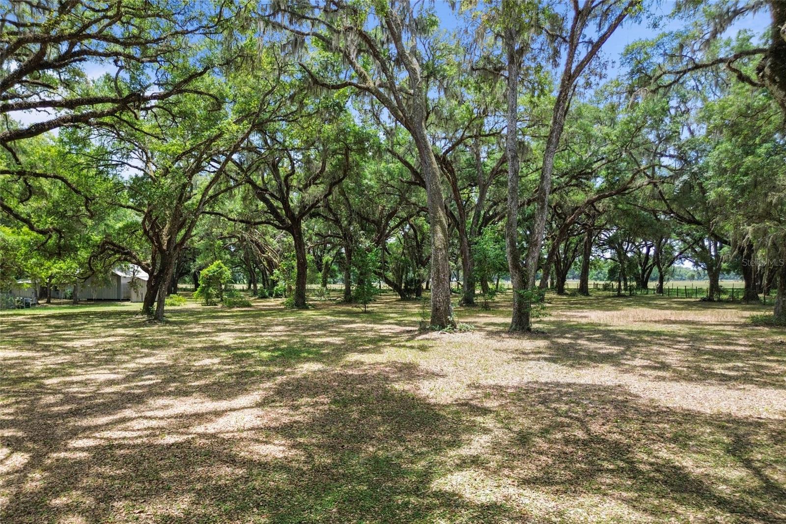 1153 CR 722, WEBSTER, FL, 33597