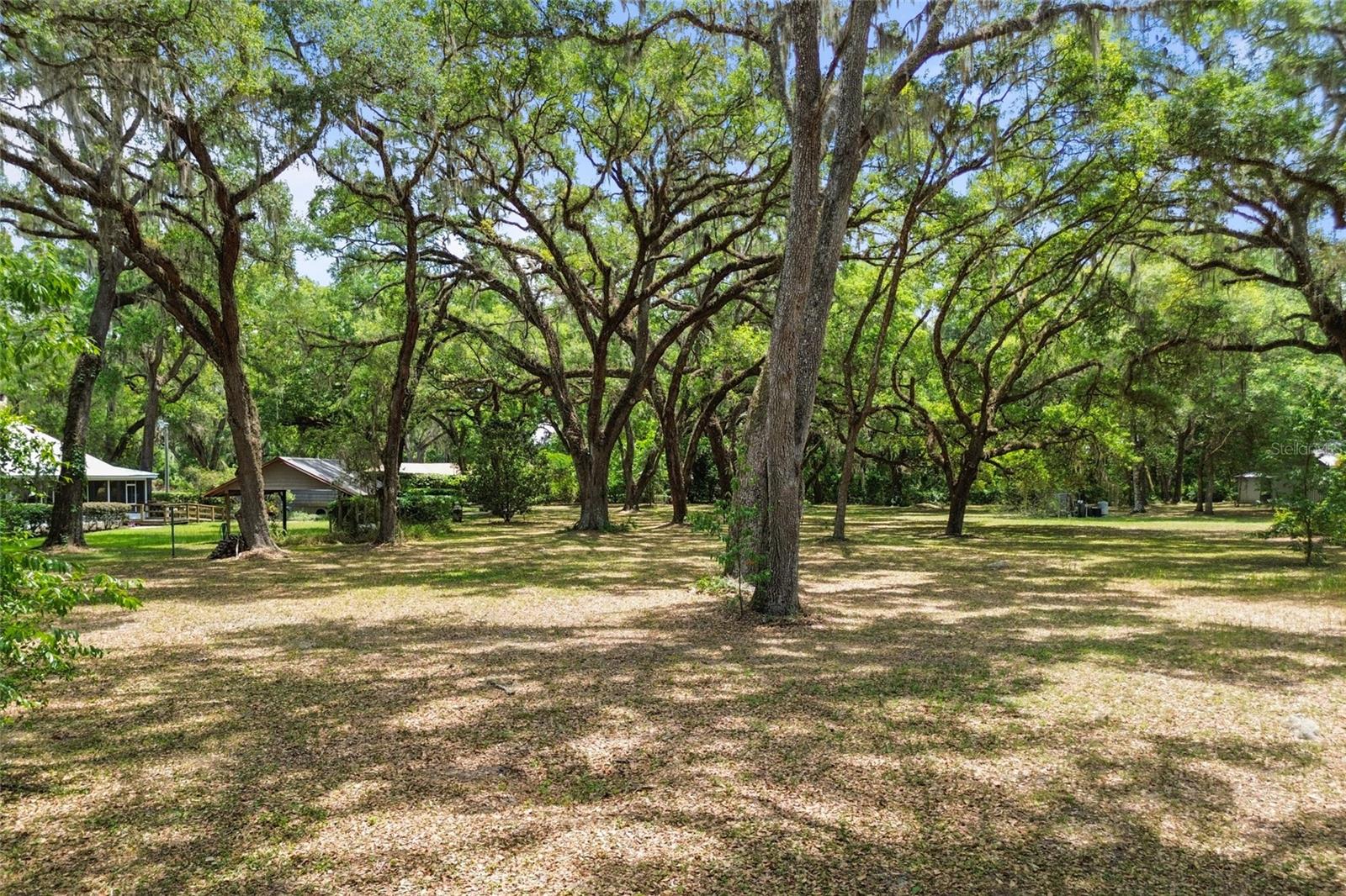 1153 CR 722, WEBSTER, FL, 33597