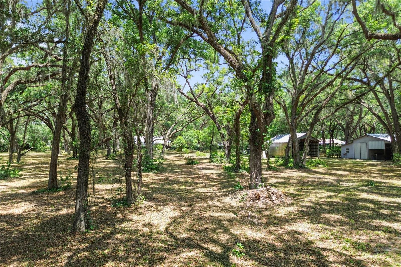 1153 CR 722, WEBSTER, FL, 33597