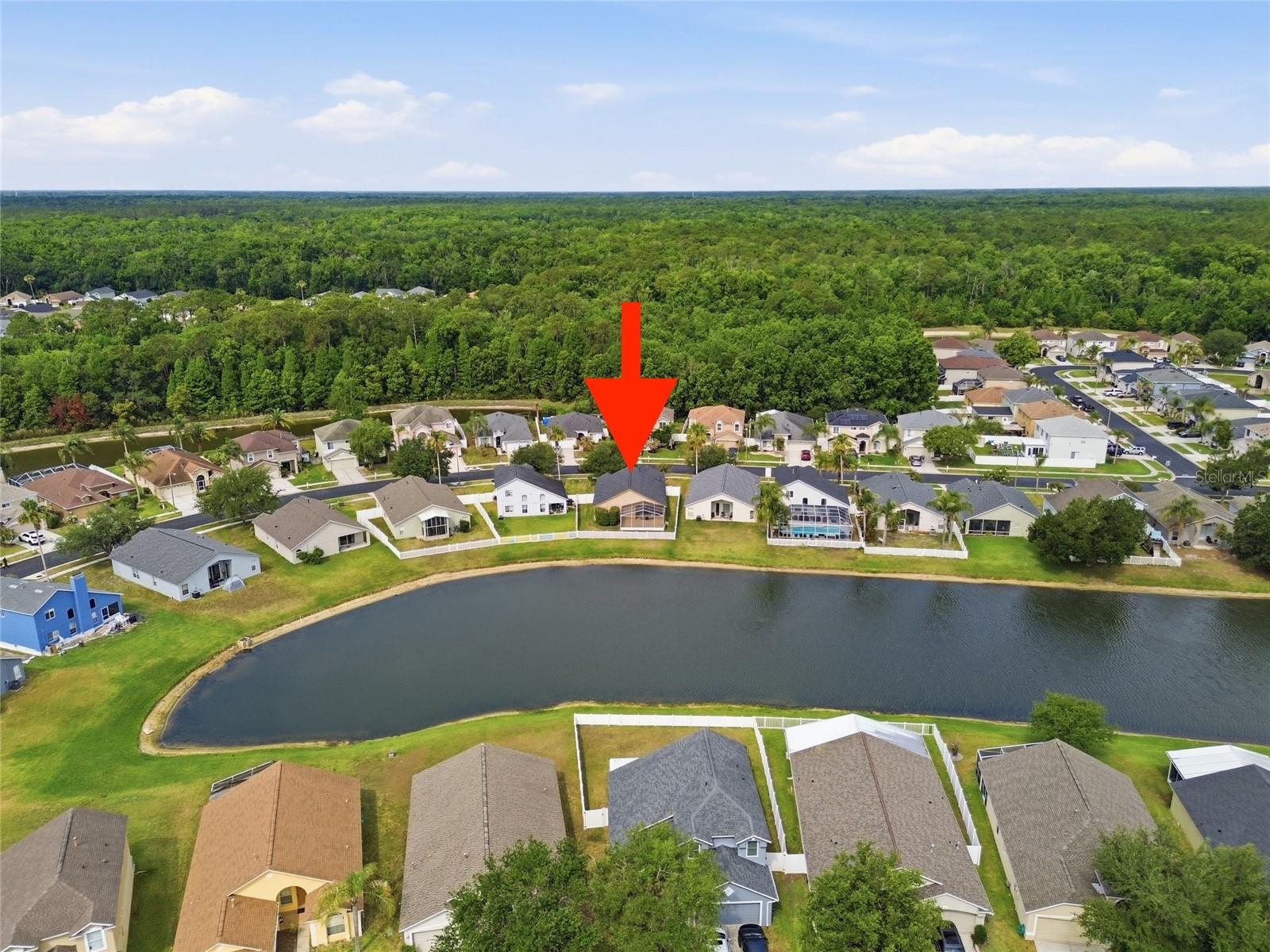 25405 GEDDY DR, LAND O LAKES, FL, 34639