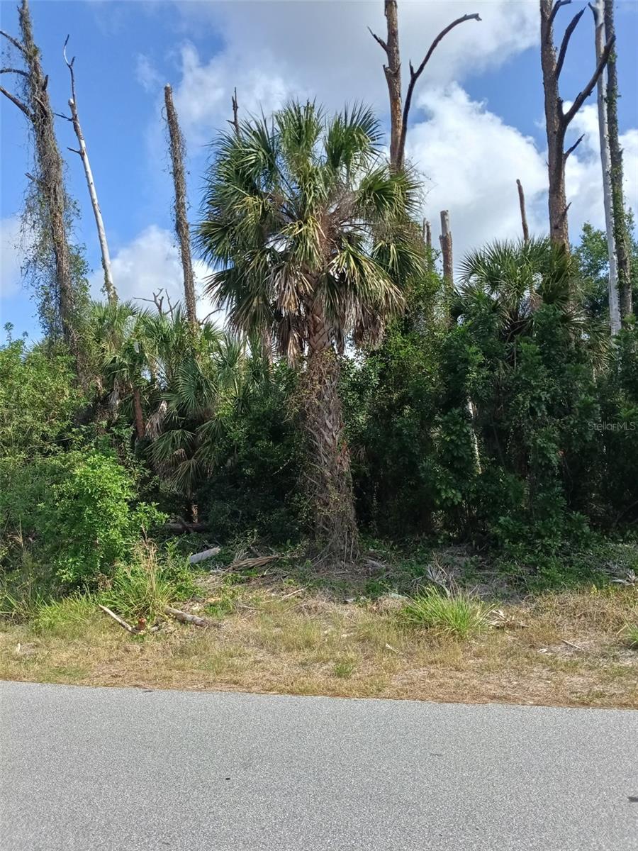 15082 COMMUNITY AVE, PORT CHARLOTTE, FL, 33953