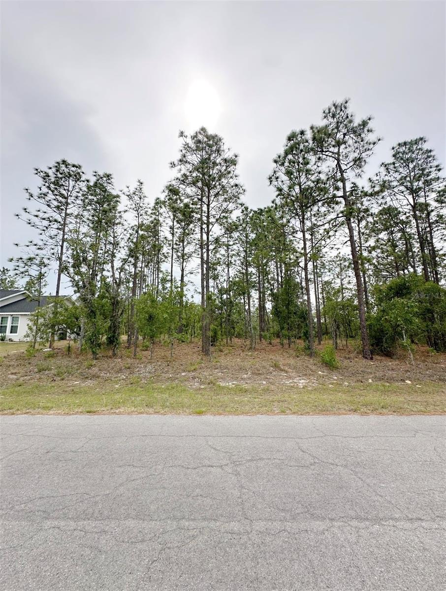 TBD NE 150TH , LOT 10 AVE, WILLISTON, FL, 32696