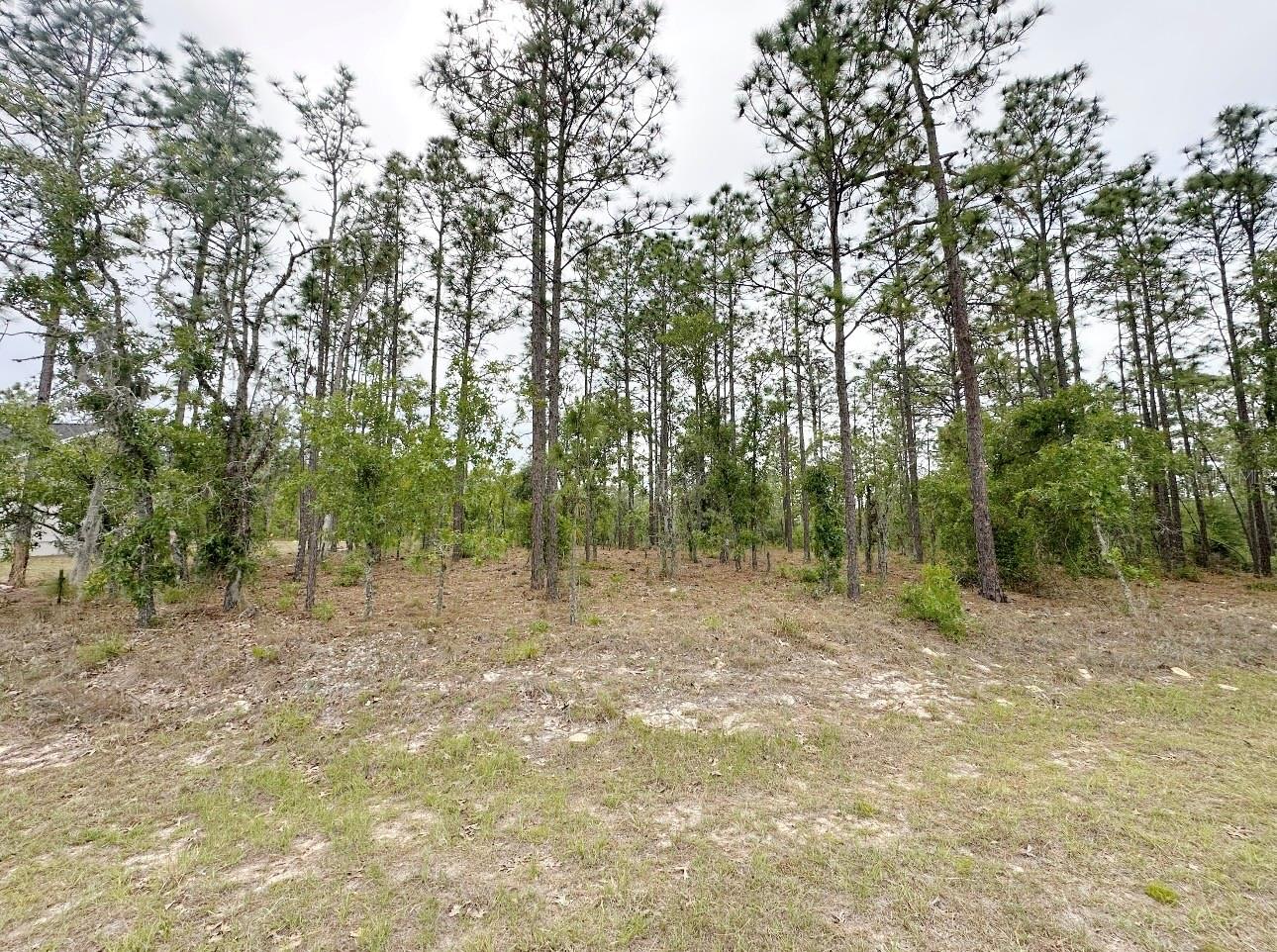 TBD NE 150TH , LOT 10 AVE, WILLISTON, FL, 32696