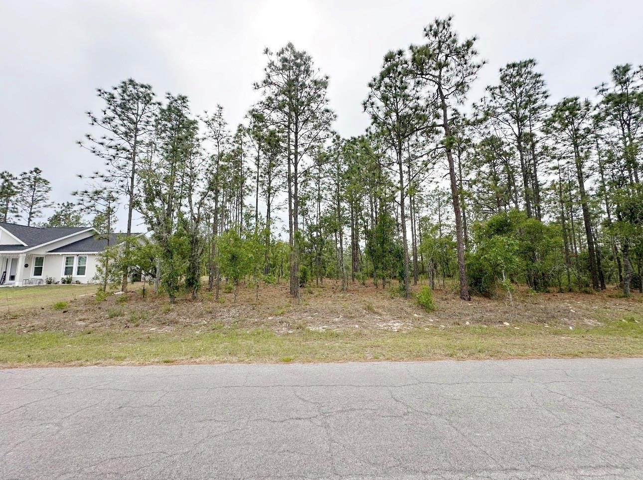 TBD NE 150TH , LOT 10 AVE, WILLISTON, FL, 32696