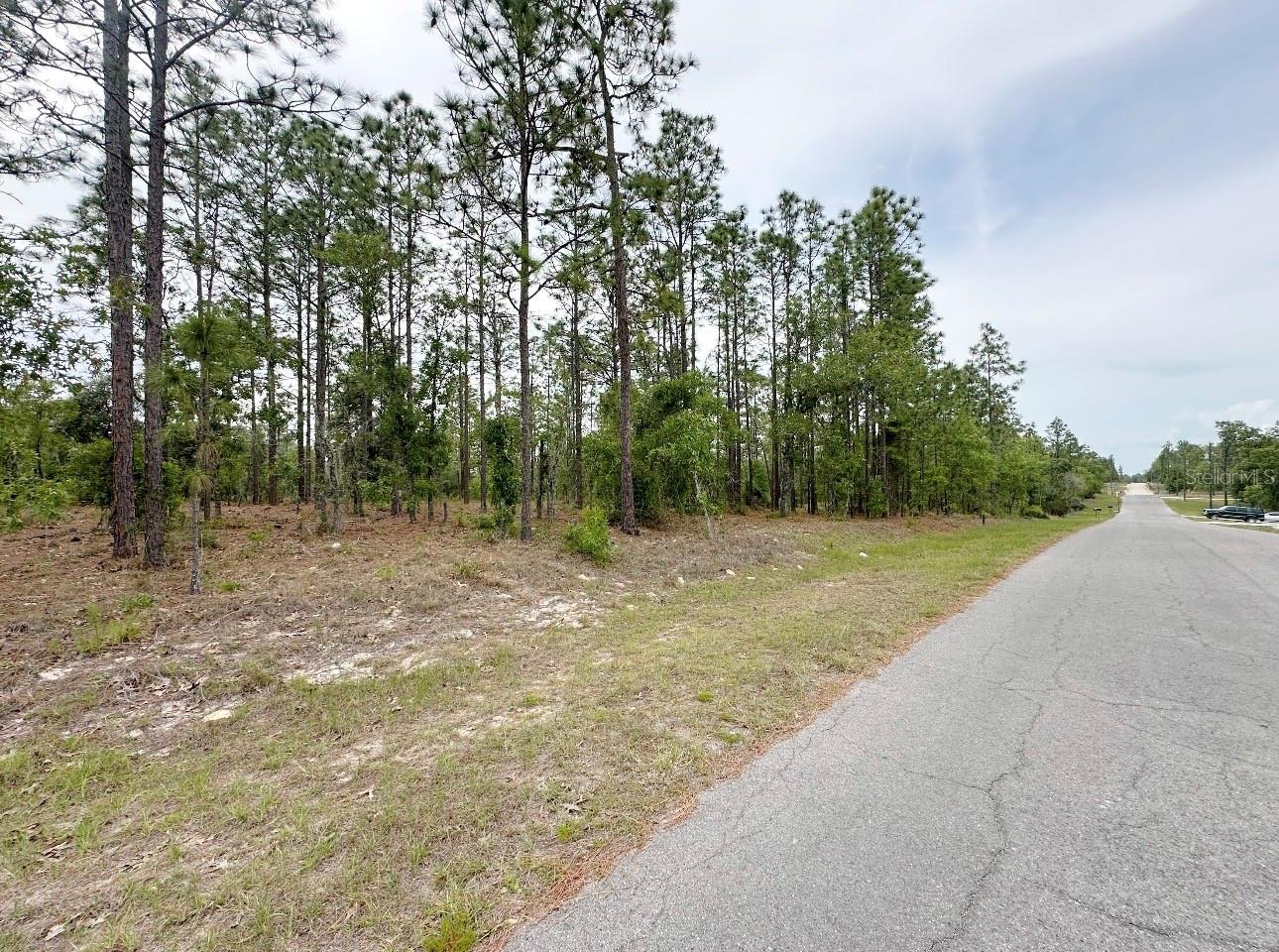 TBD NE 150TH , LOT 10 AVE, WILLISTON, FL, 32696