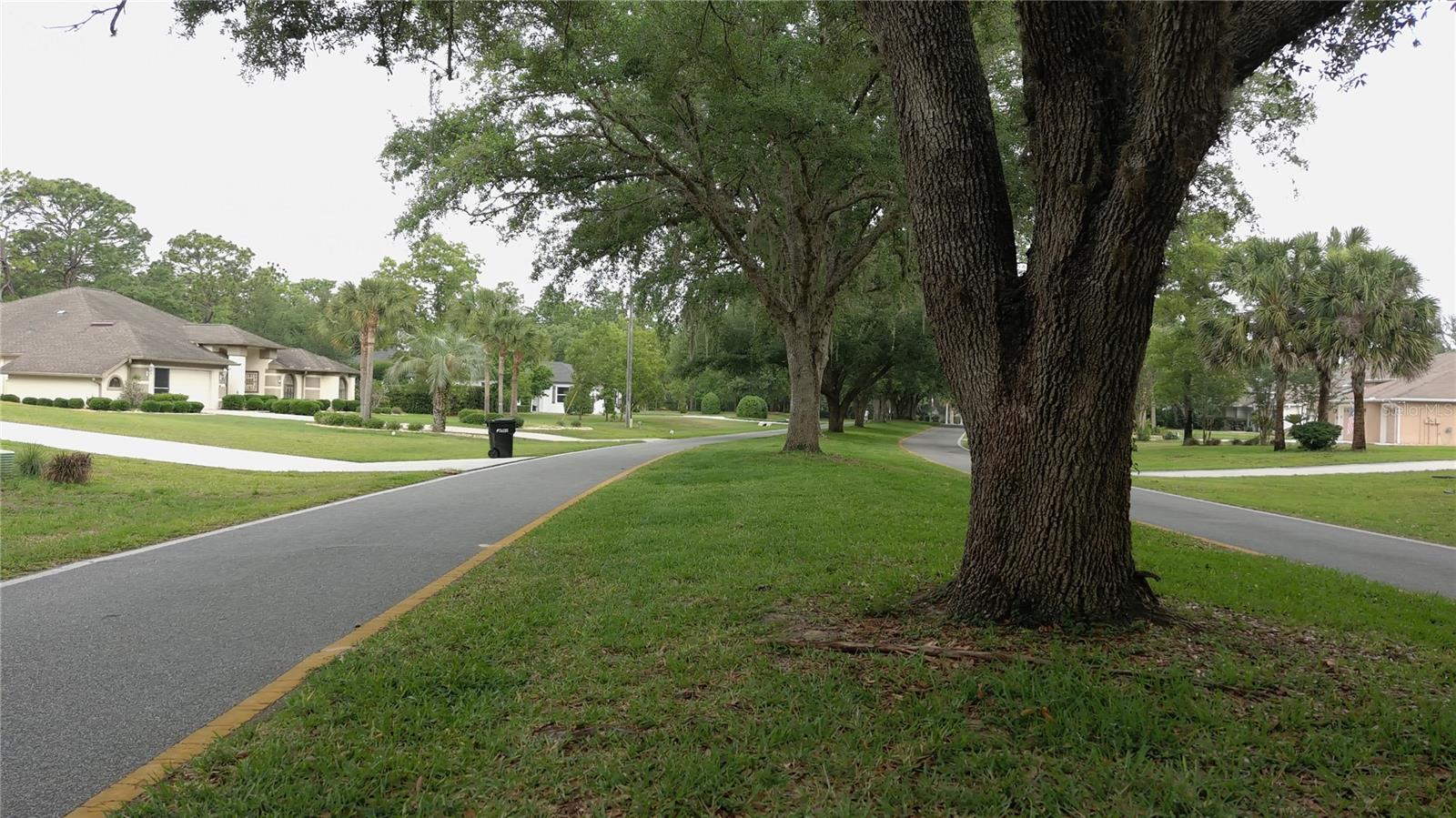 116 S OAK VILLAGE BLVD, HOMOSASSA, FL, 34446