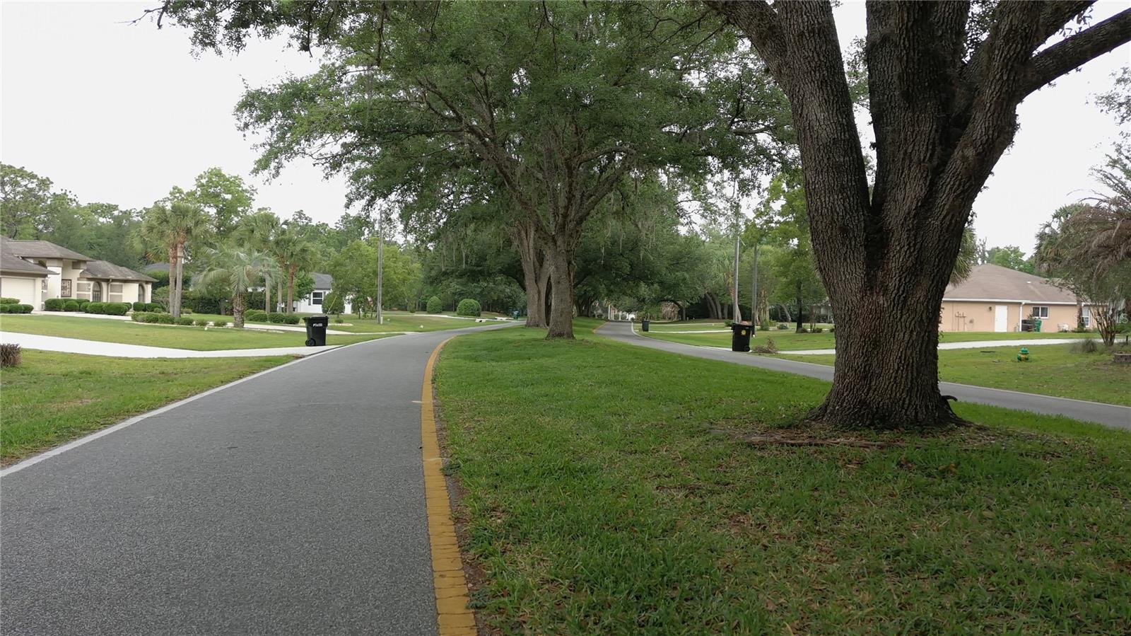 116 S OAK VILLAGE BLVD, HOMOSASSA, FL, 34446
