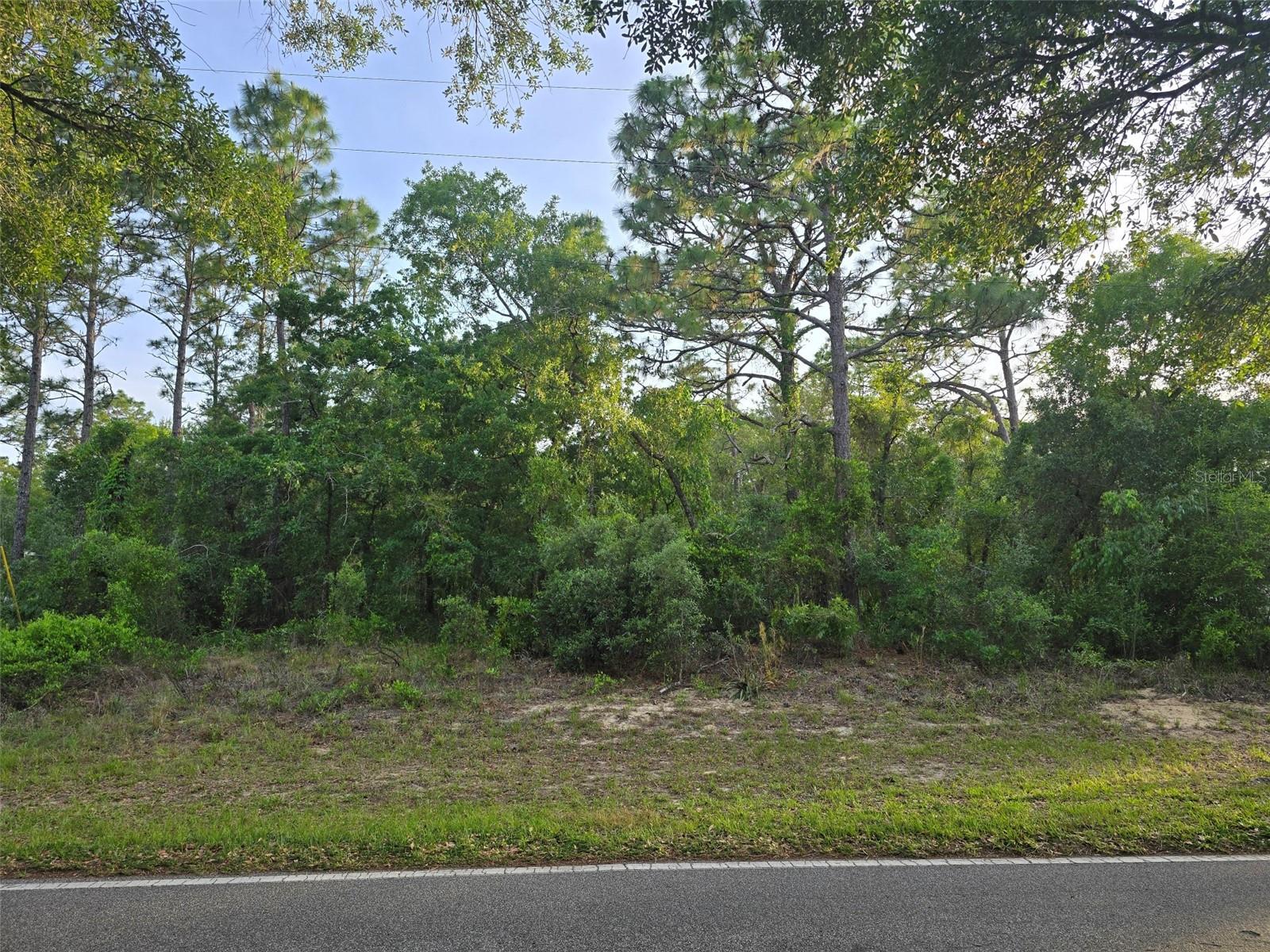 116 S OAK VILLAGE BLVD, HOMOSASSA, FL, 34446