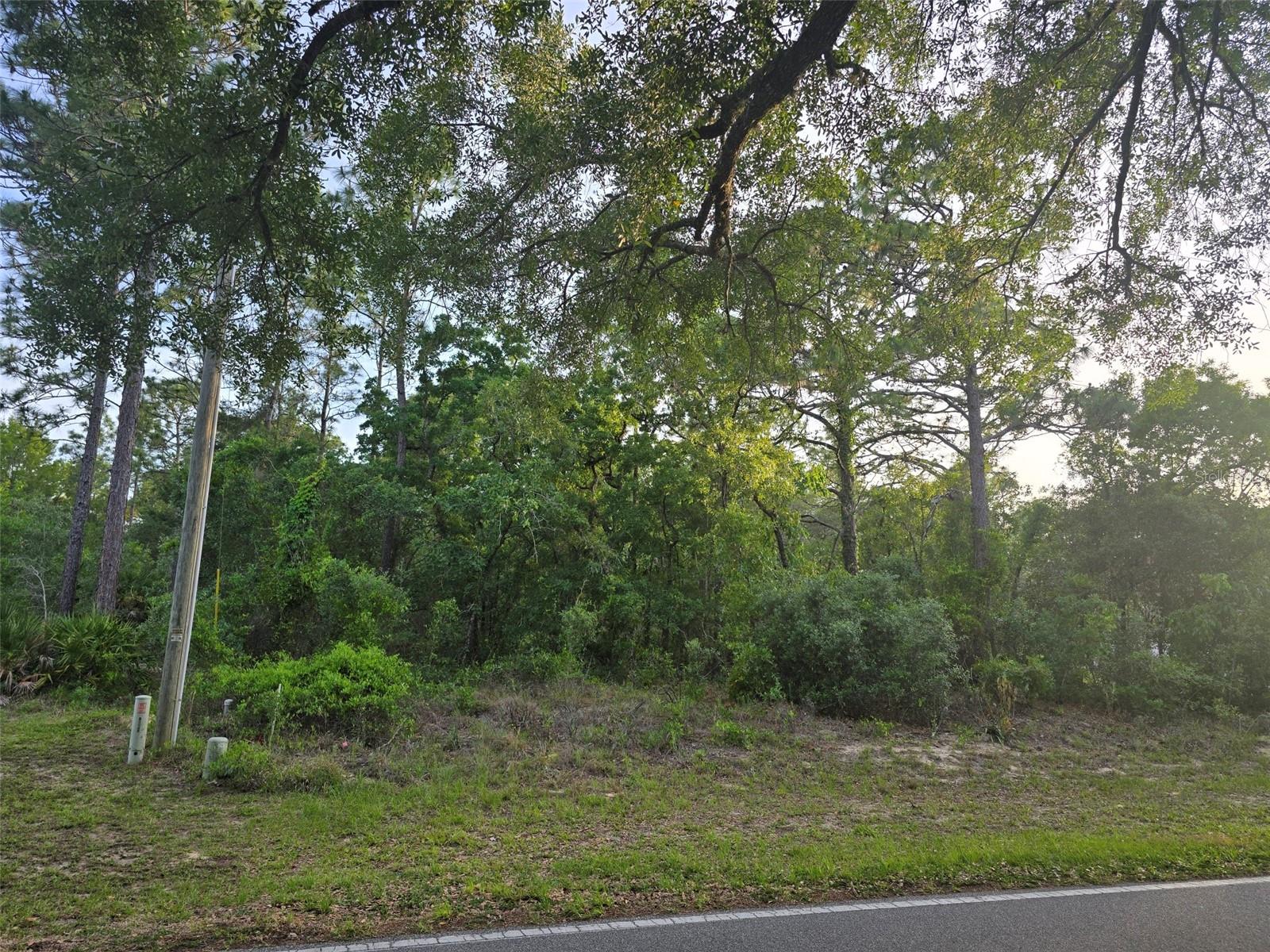 116 S OAK VILLAGE BLVD, HOMOSASSA, FL, 34446