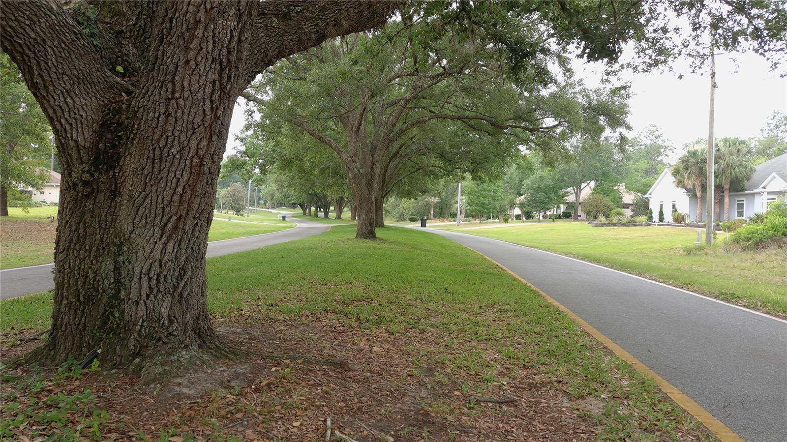 116 S OAK VILLAGE BLVD, HOMOSASSA, FL, 34446
