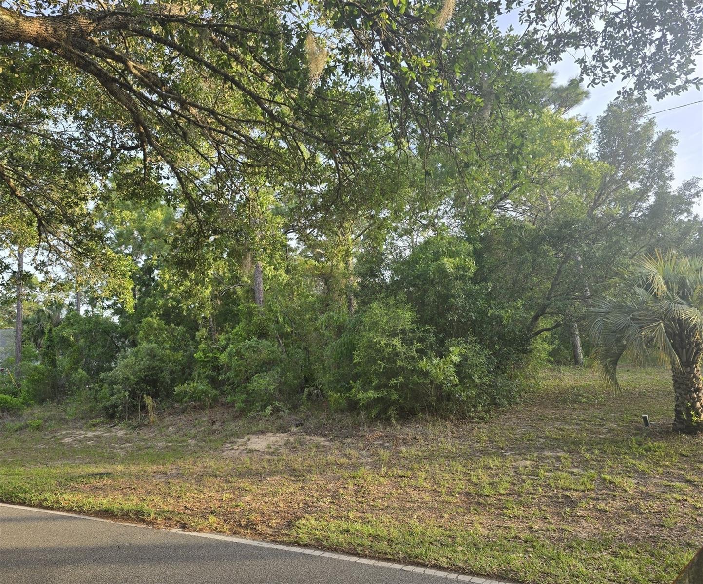 116 S OAK VILLAGE BLVD, HOMOSASSA, FL, 34446