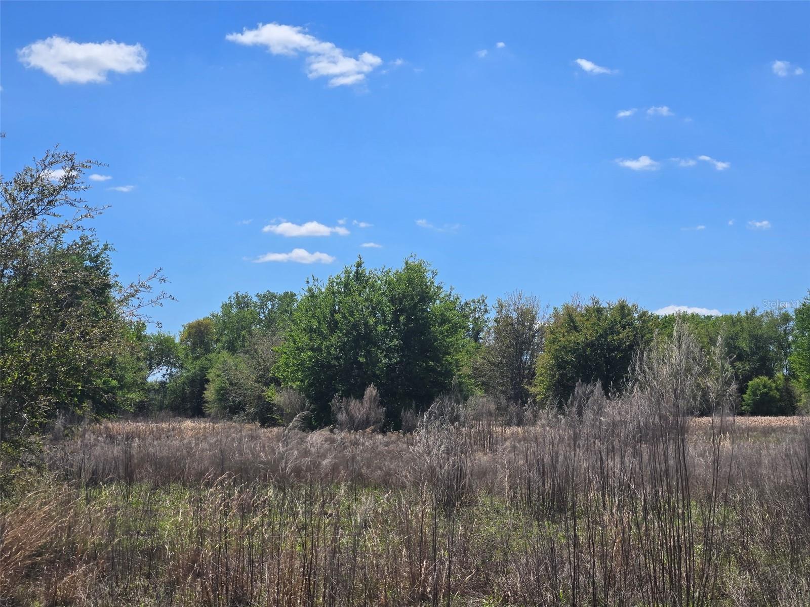 NW 70 HWY NW, ARCADIA, FL, 34266