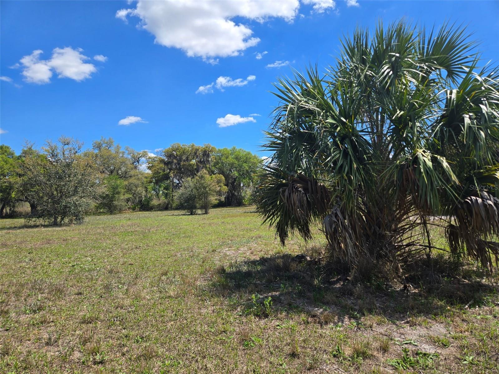 NW 70 HWY NW, ARCADIA, FL, 34266
