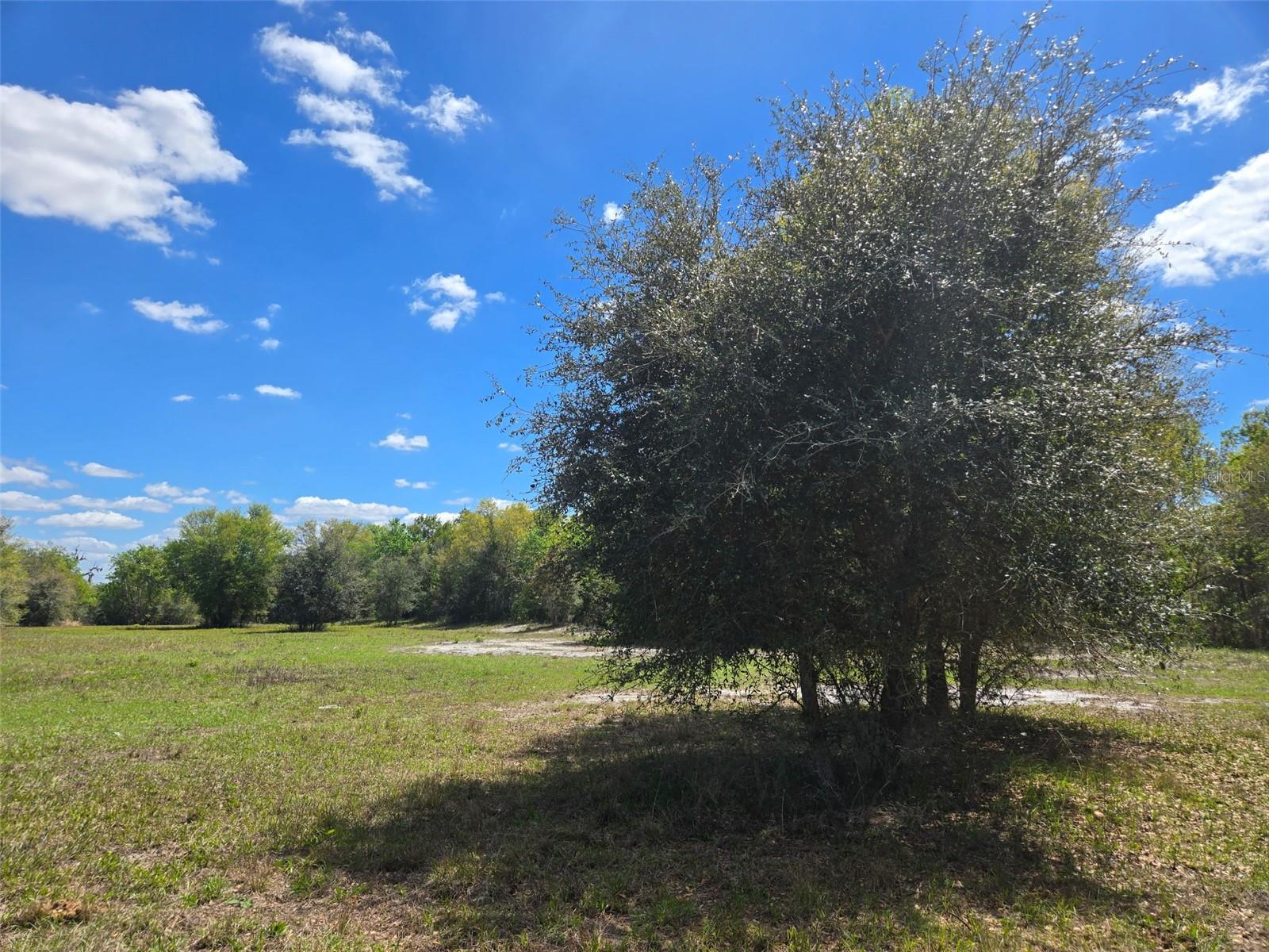 NW 70 HWY NW, ARCADIA, FL, 34266